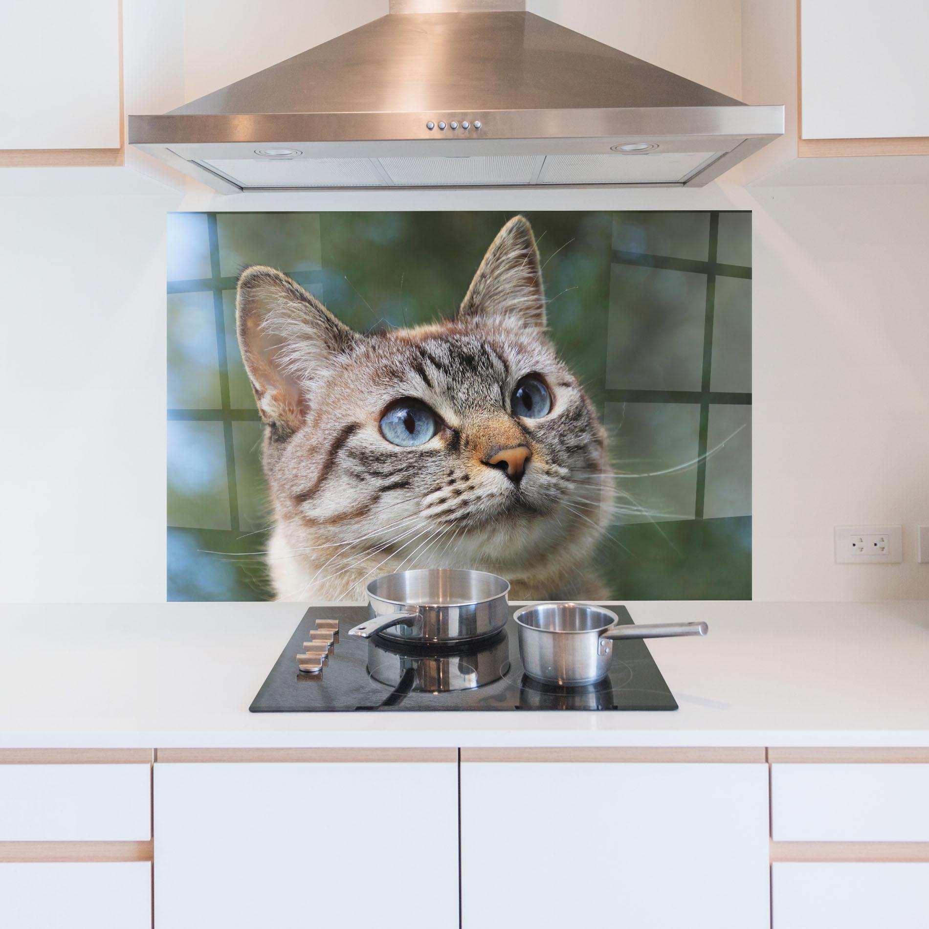 Panel Szklany do Kuchni Blue Eyes Cutie mockup 5