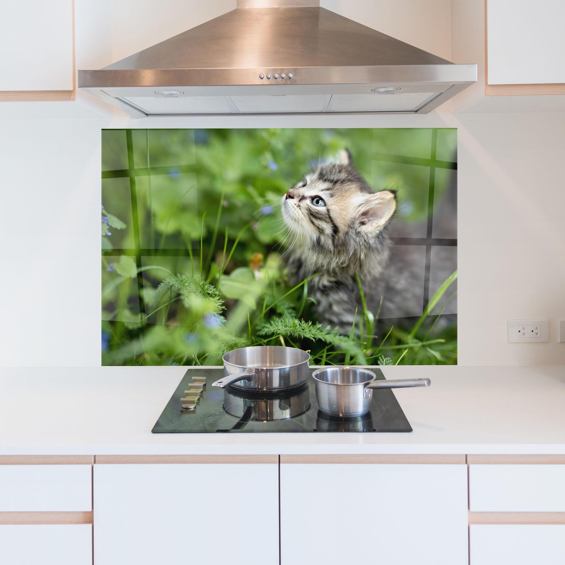 Panel Szklany do Kuchni Brown Baby Cat mockup 5