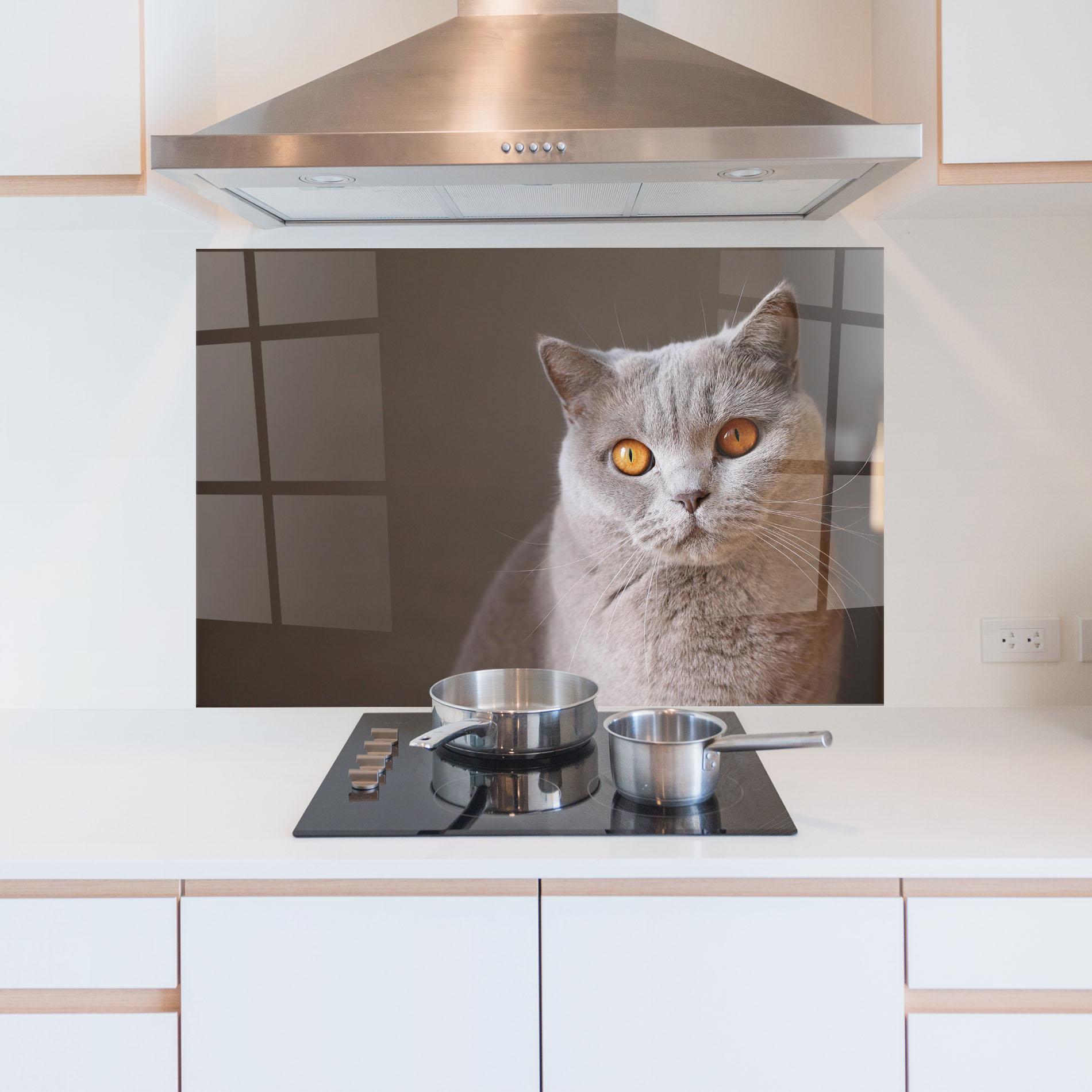 Panel Szklany do Kuchni Orange Eyes Cat mockup 5