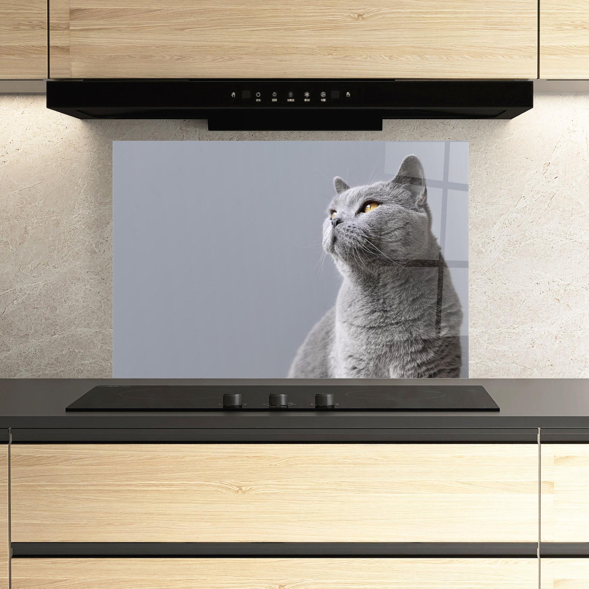 Panel Szklany do Kuchni Gray Kitty mockup 3