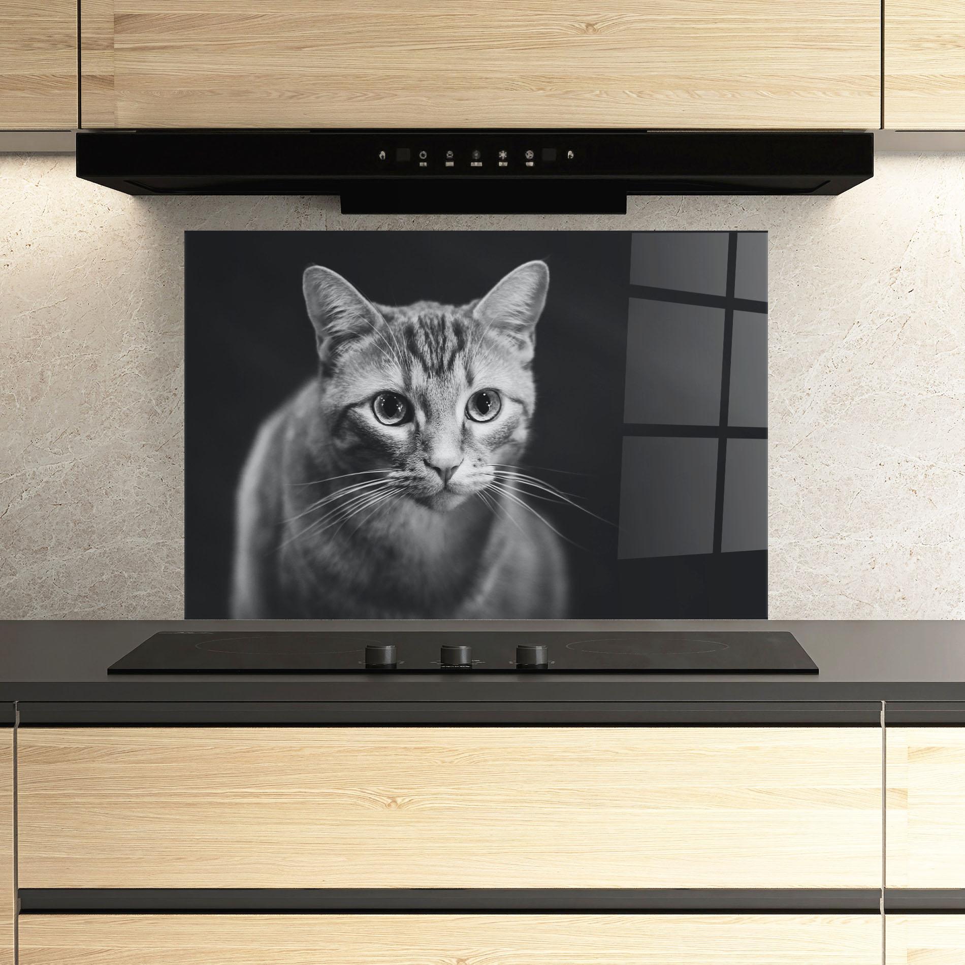 Panel Szklany do Kuchni Grey Kitty On Black mockup 3