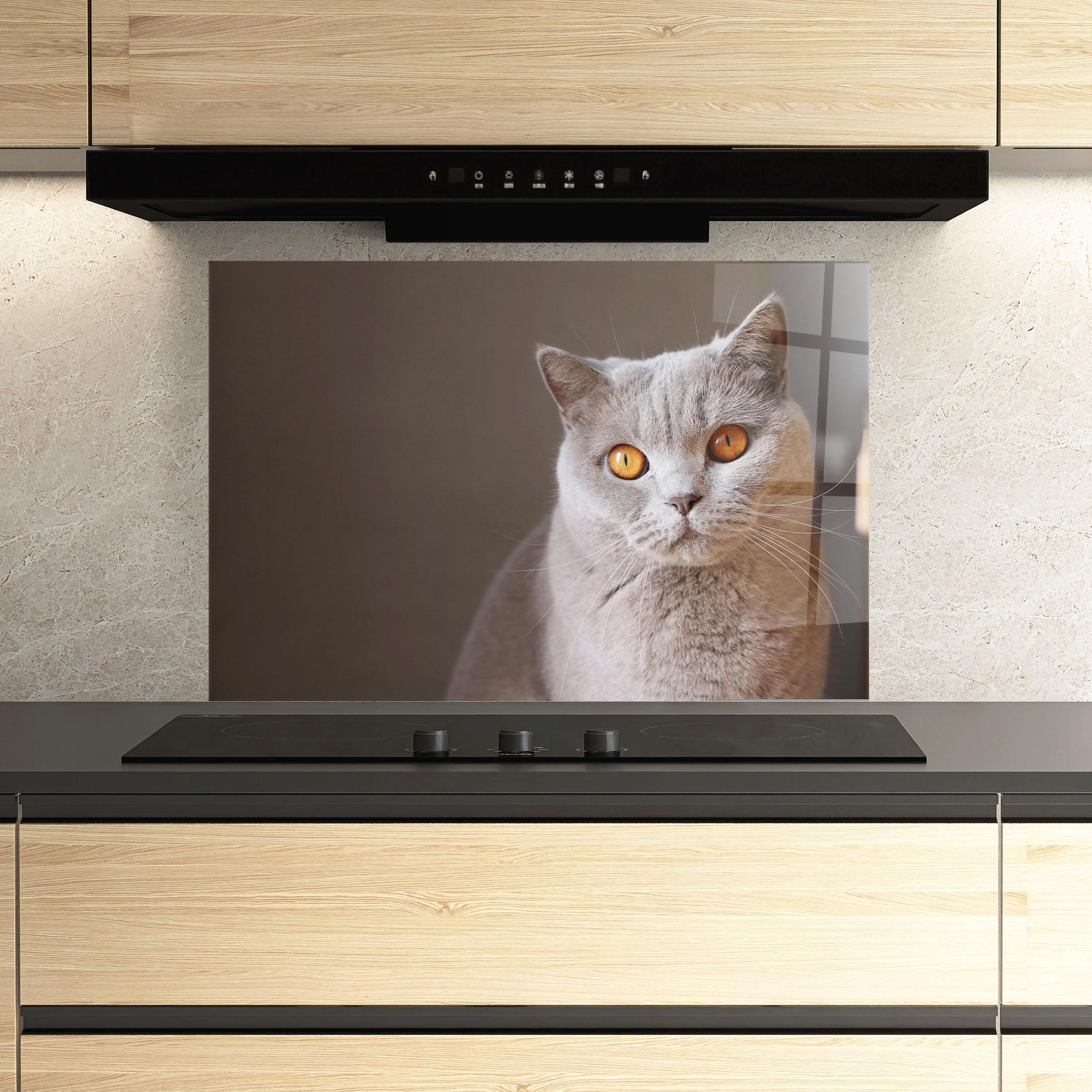Panel Szklany do Kuchni Orange Eyes Cat mockup 3