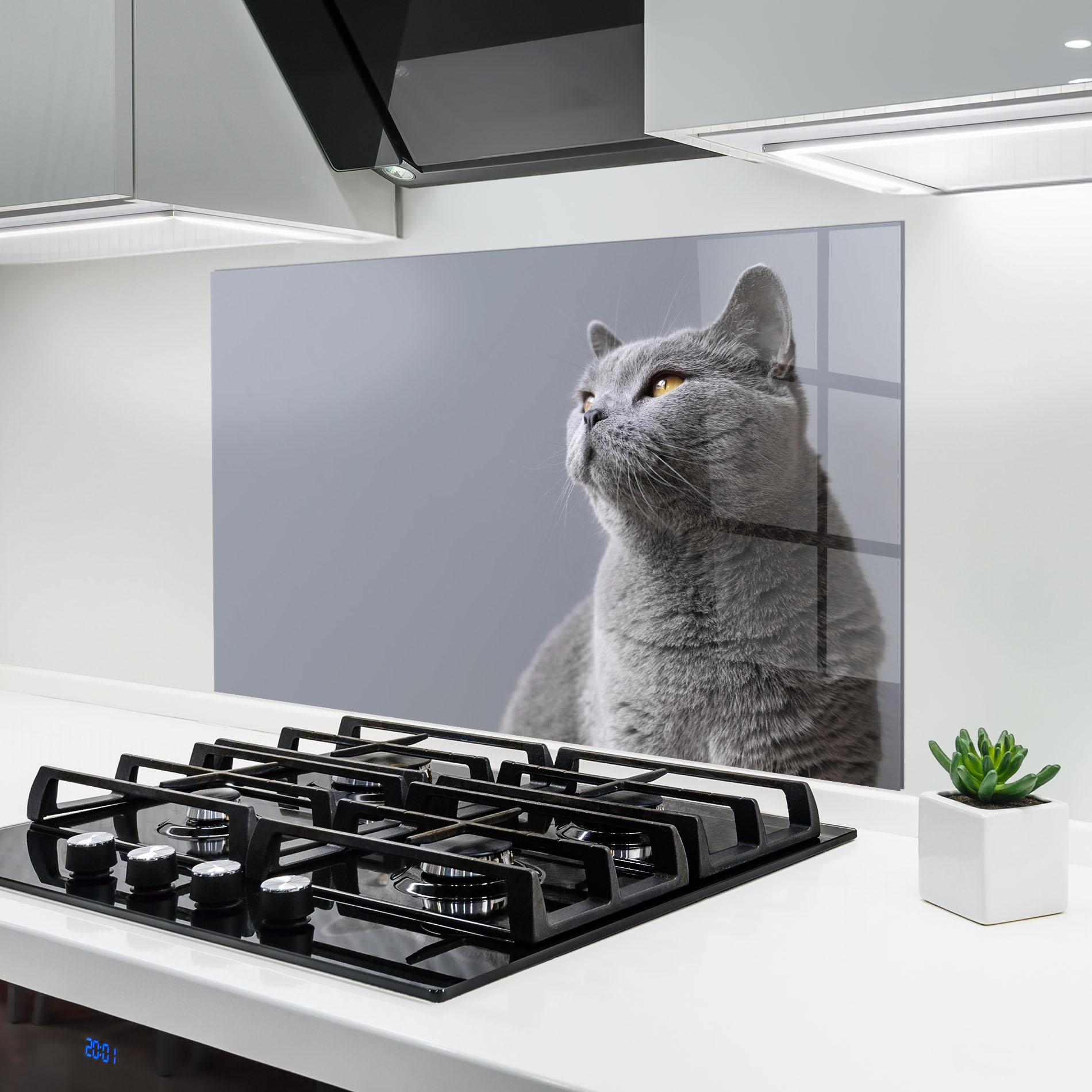 Panel Szklany do Kuchni Gray Kitty mockup 6