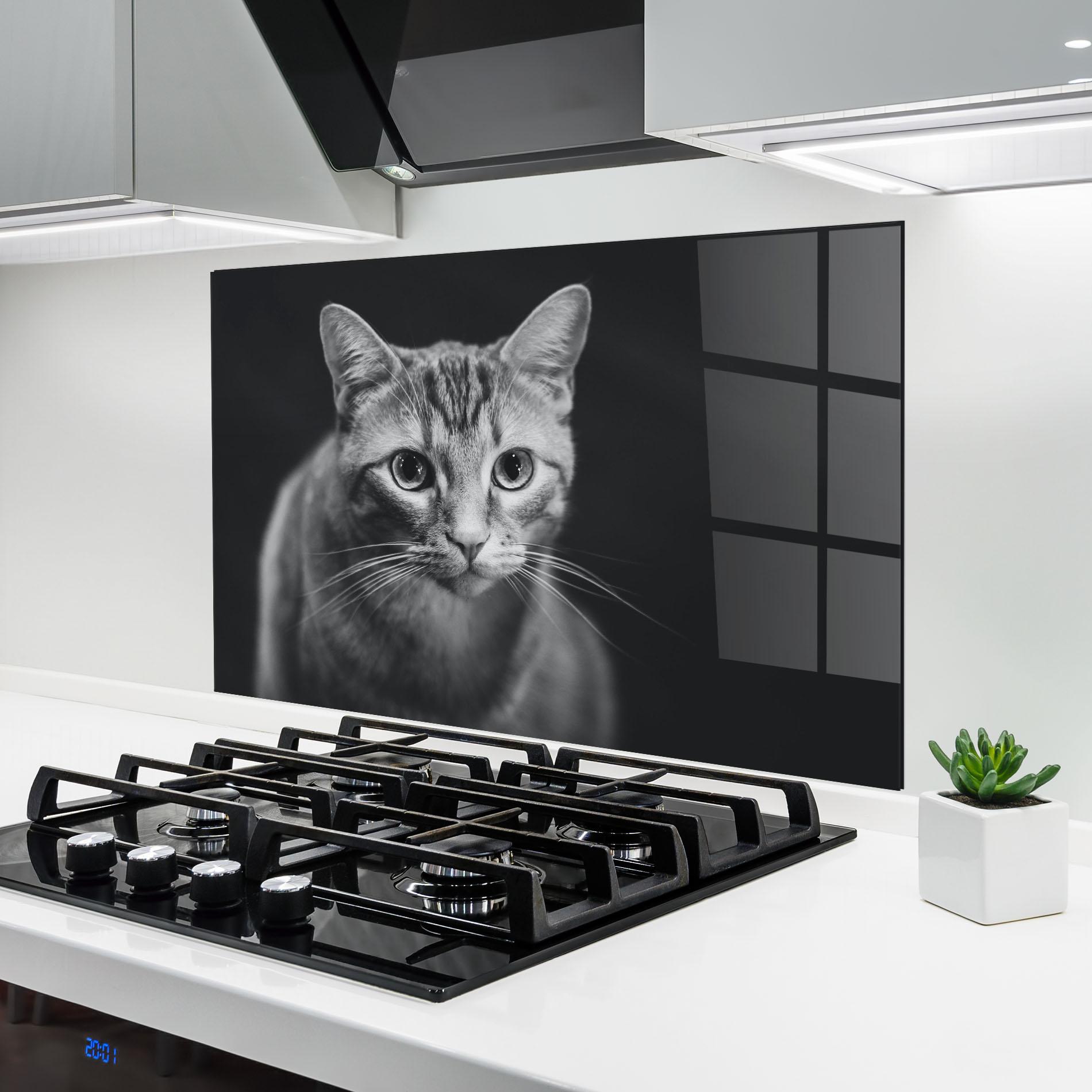 Panel Szklany do Kuchni Grey Kitty On Black mockup 6
