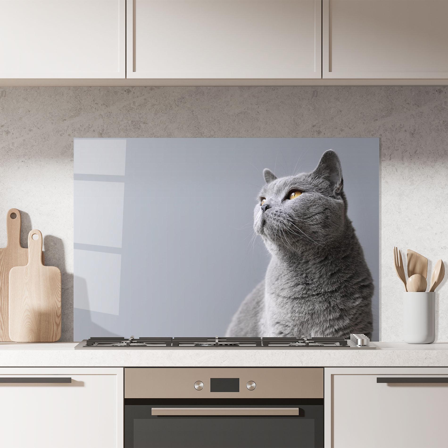 Panel Szklany do Kuchni Gray Kitty mockup 7
