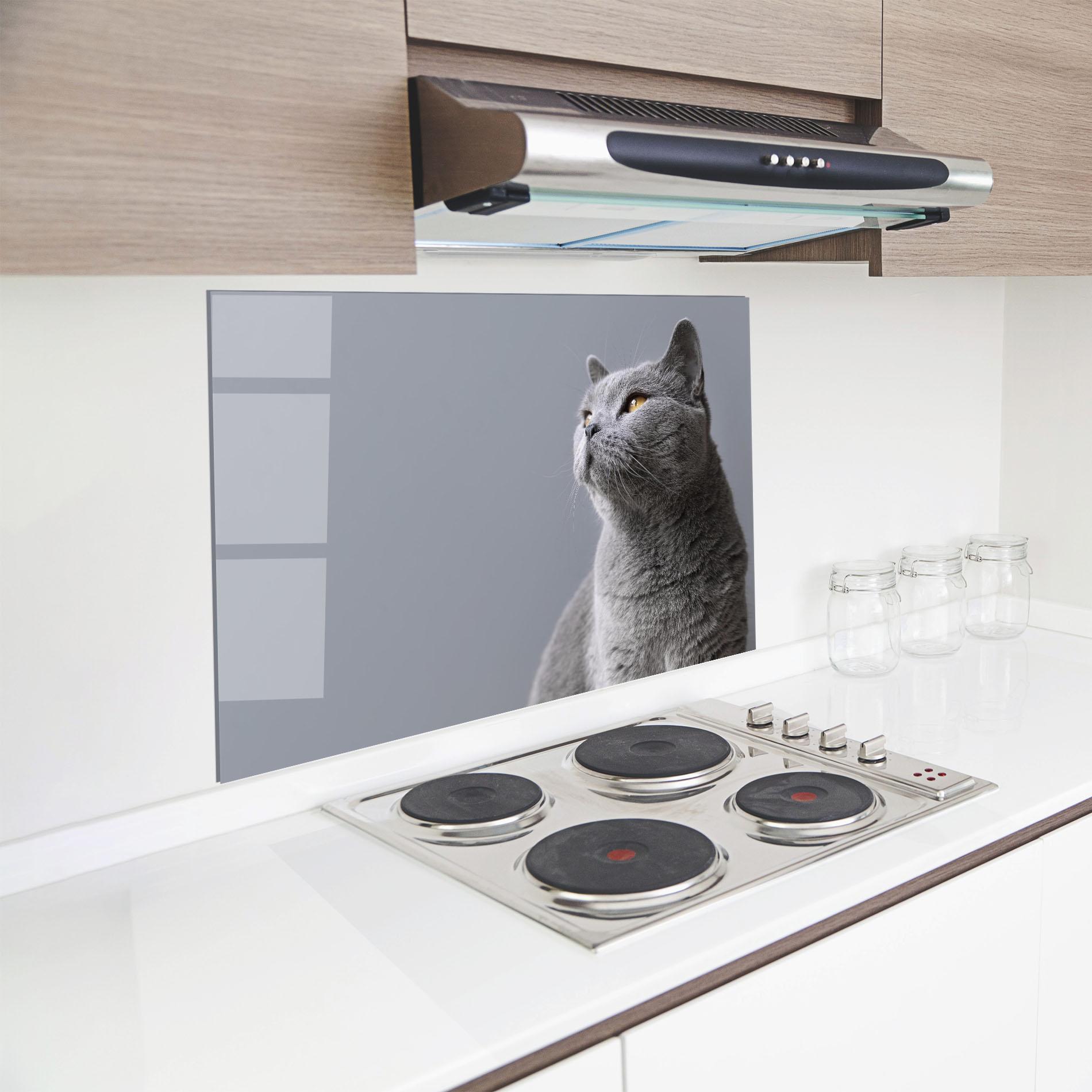 Panel Szklany do Kuchni Gray Kitty mockup 8