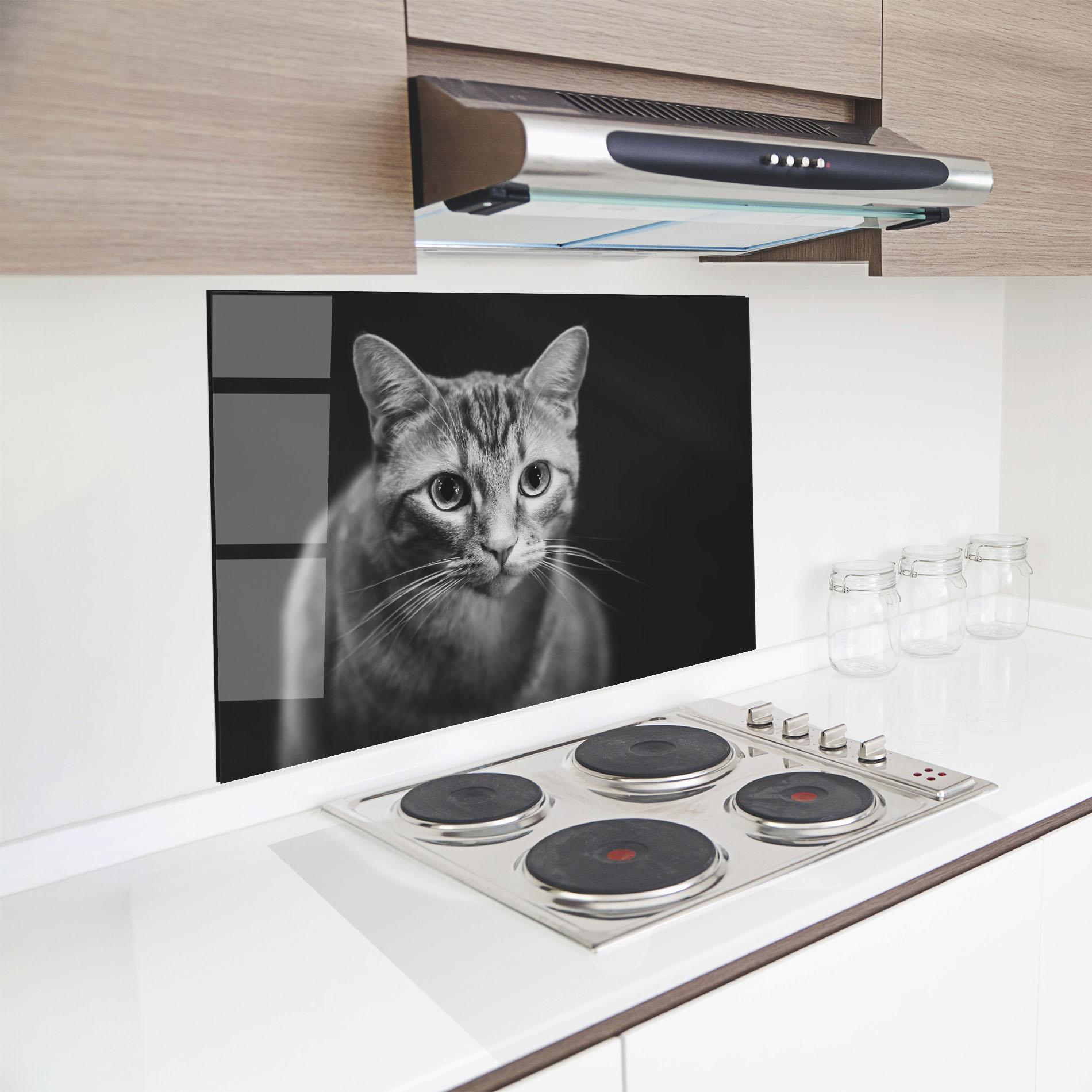 Panel Szklany do Kuchni Grey Kitty On Black mockup 8