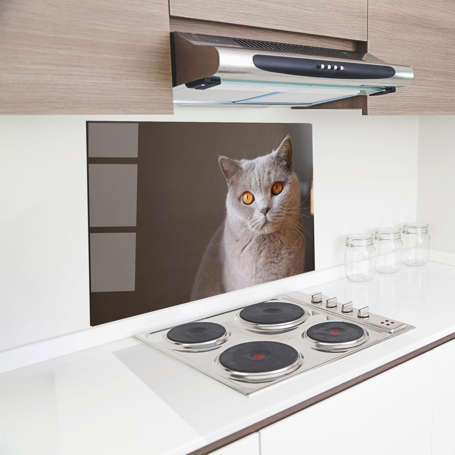Panel Szklany do Kuchni Orange Eyes Cat mockup 8