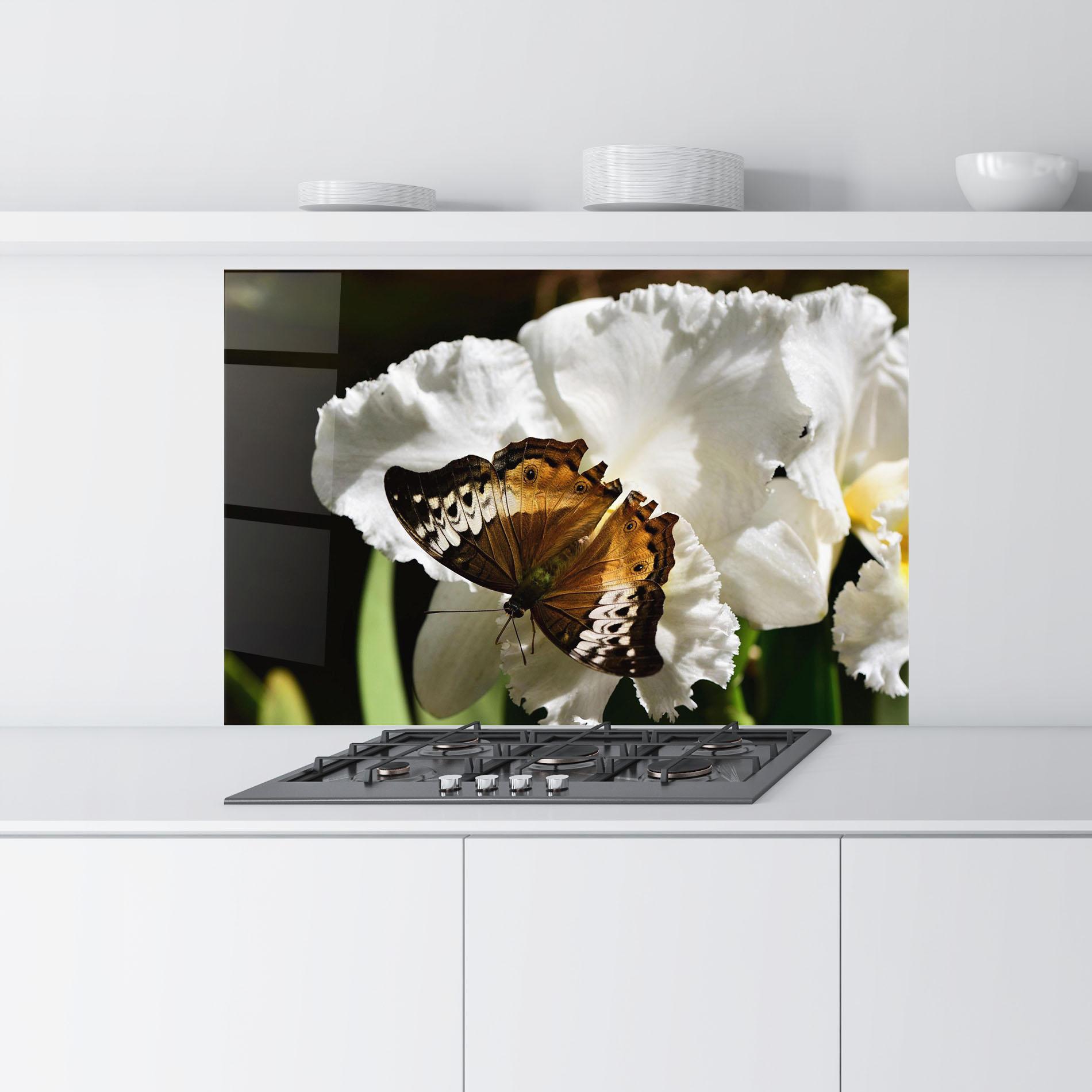 Panel Szklany do Kuchni Butterfly Exotic Plant mockup 9