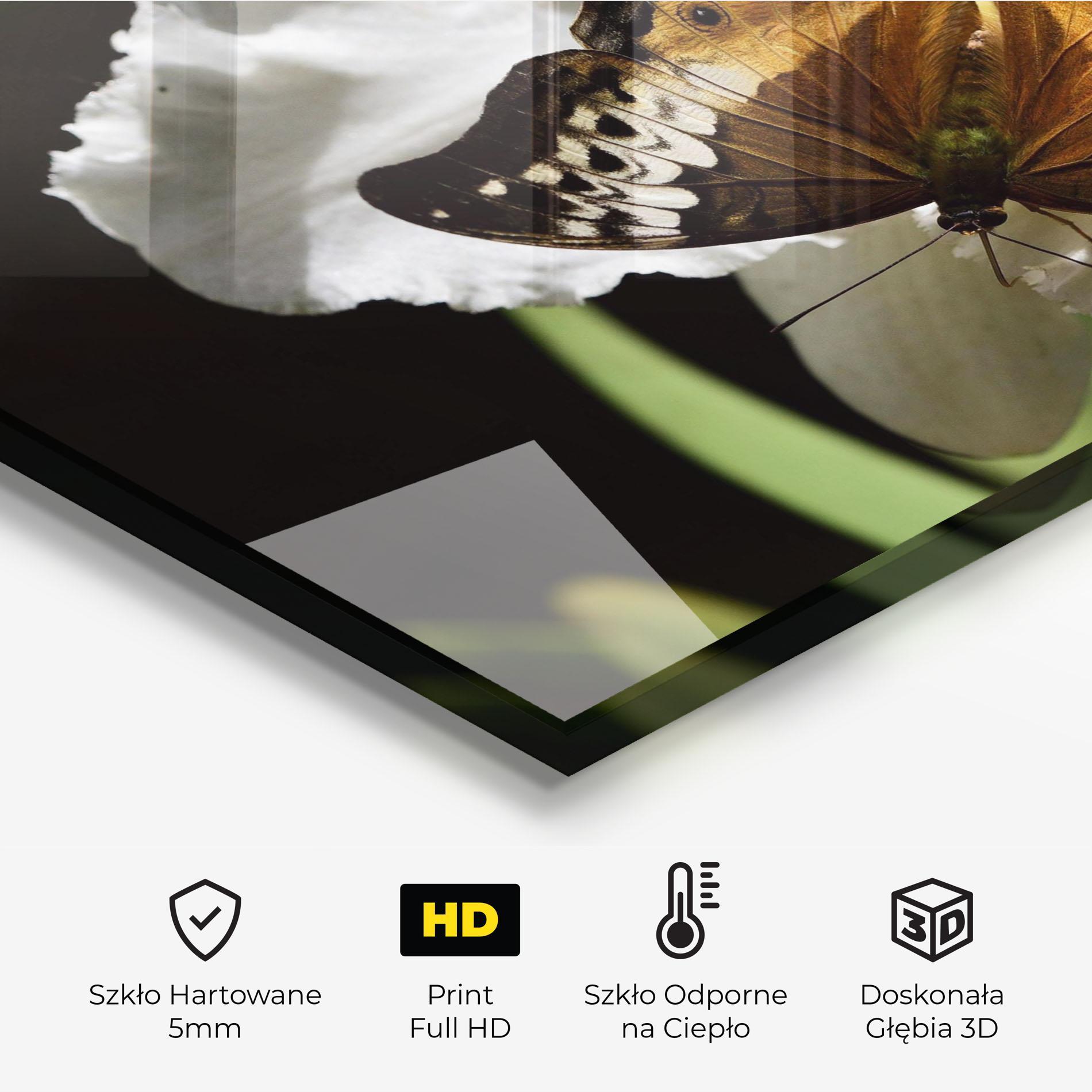 Panel Szklany do Kuchni Butterfly Exotic Plant mockup 2
