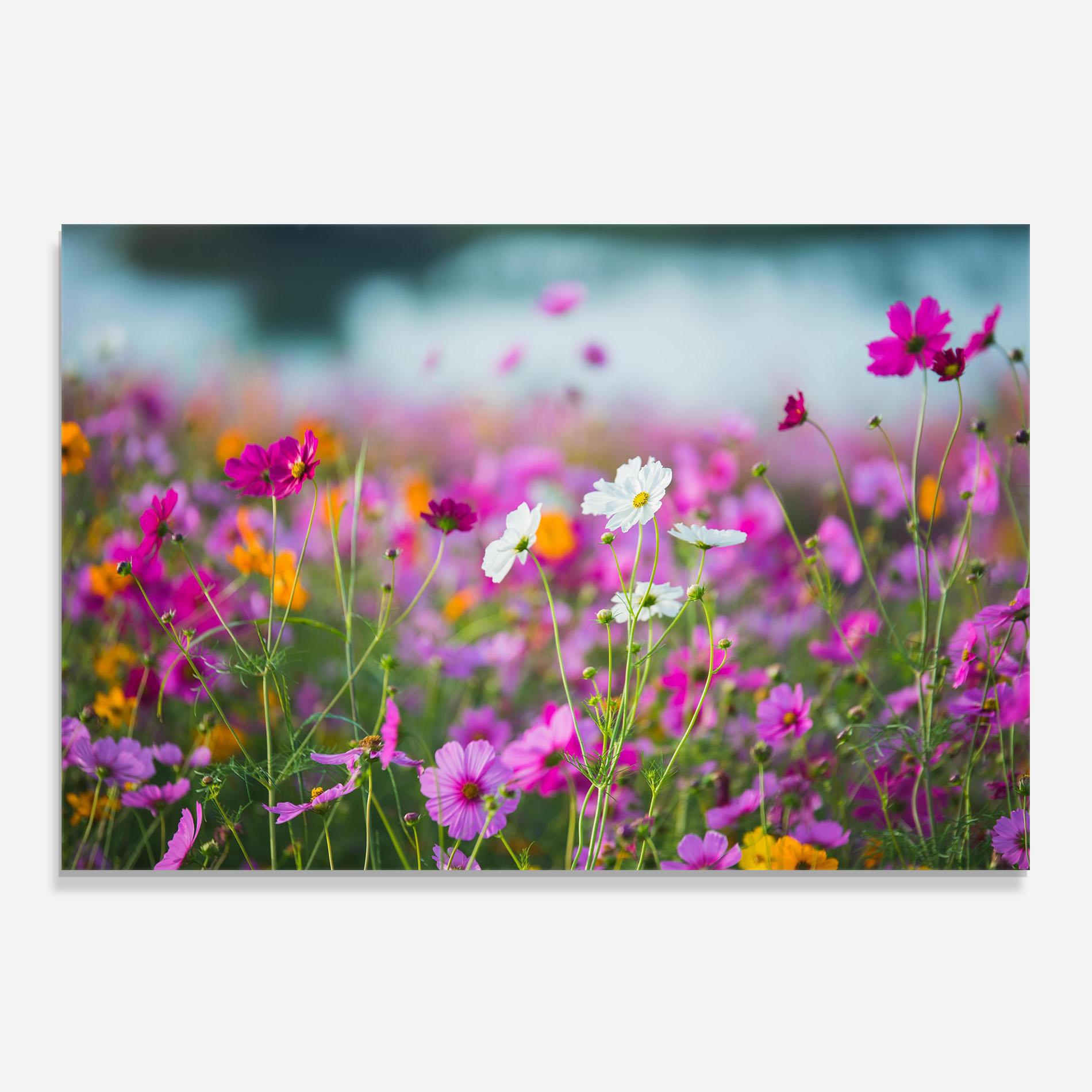 Panel Szklany do Kuchni Flower Grassland mockup 0