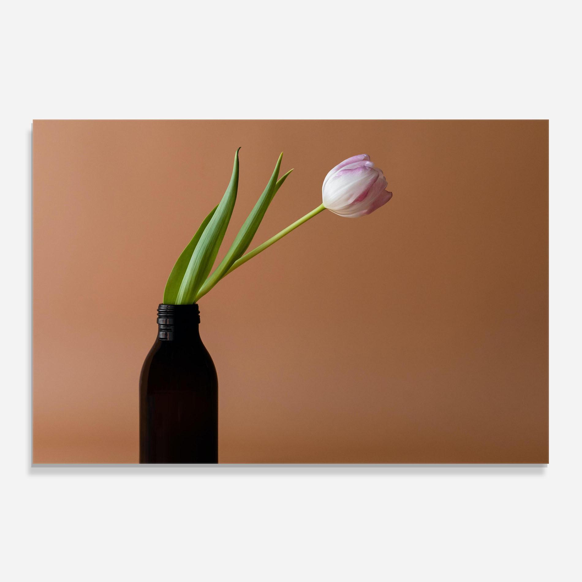 Panel Szklany do Kuchni One Pink Tulip mockup 0