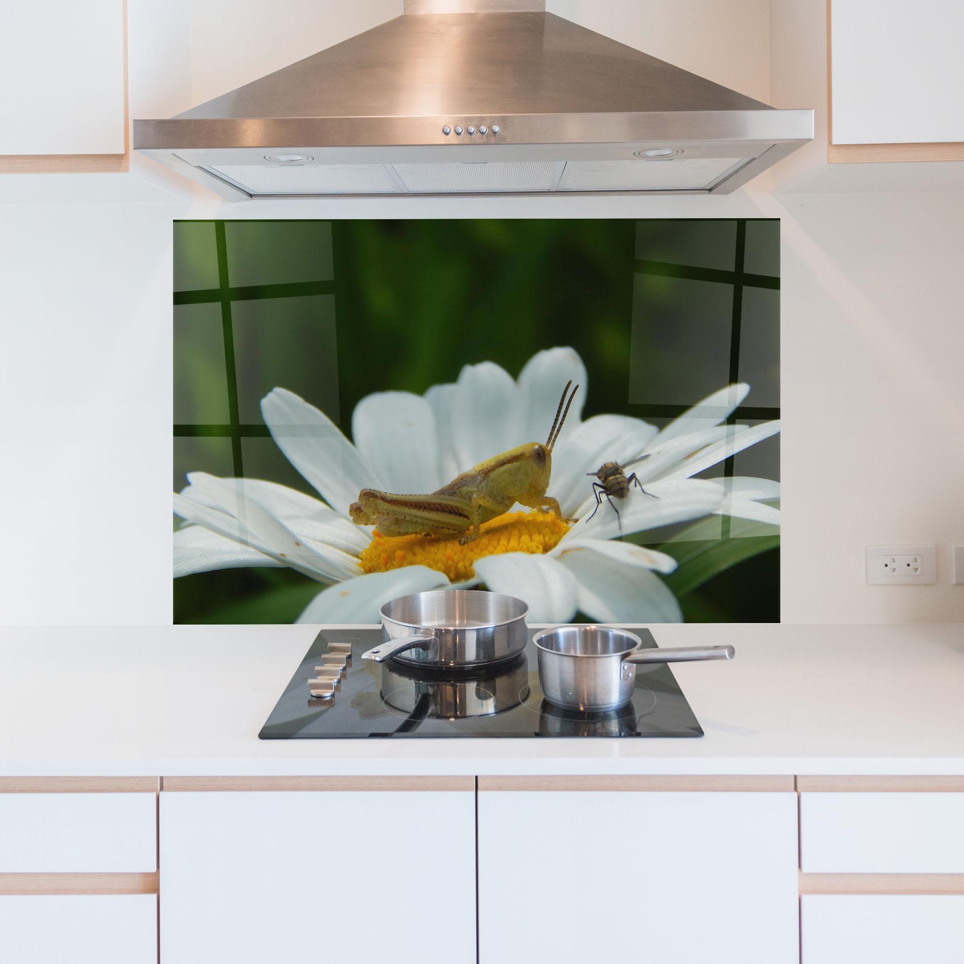 Panel Szklany do Kuchni Cricket On Daisy mockup 5