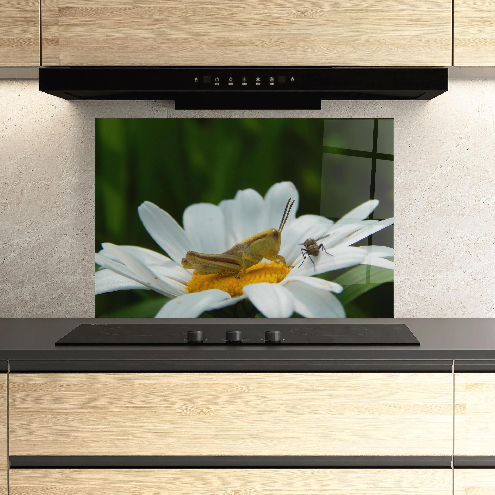 Panel Szklany do Kuchni Cricket On Daisy mockup 3