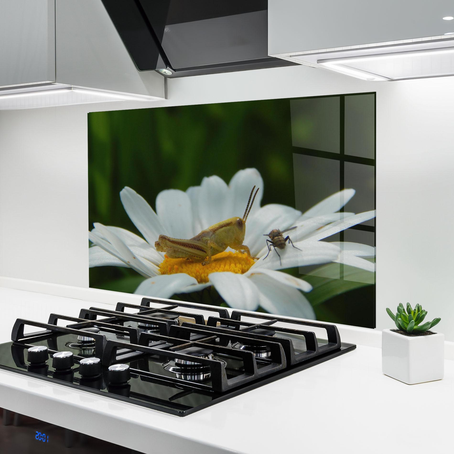 Panel Szklany do Kuchni Cricket On Daisy mockup 6