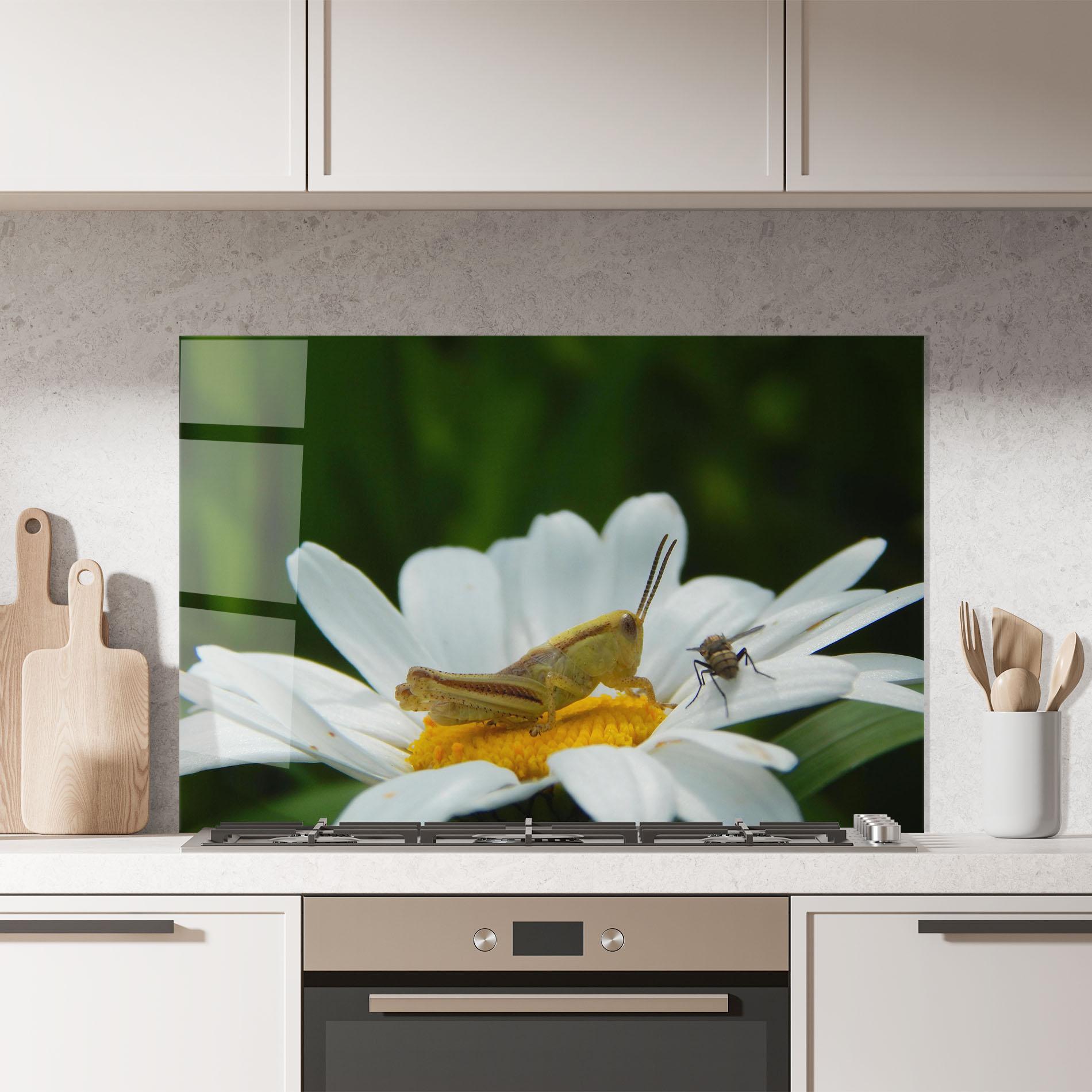 Panel Szklany do Kuchni Cricket On Daisy mockup 7