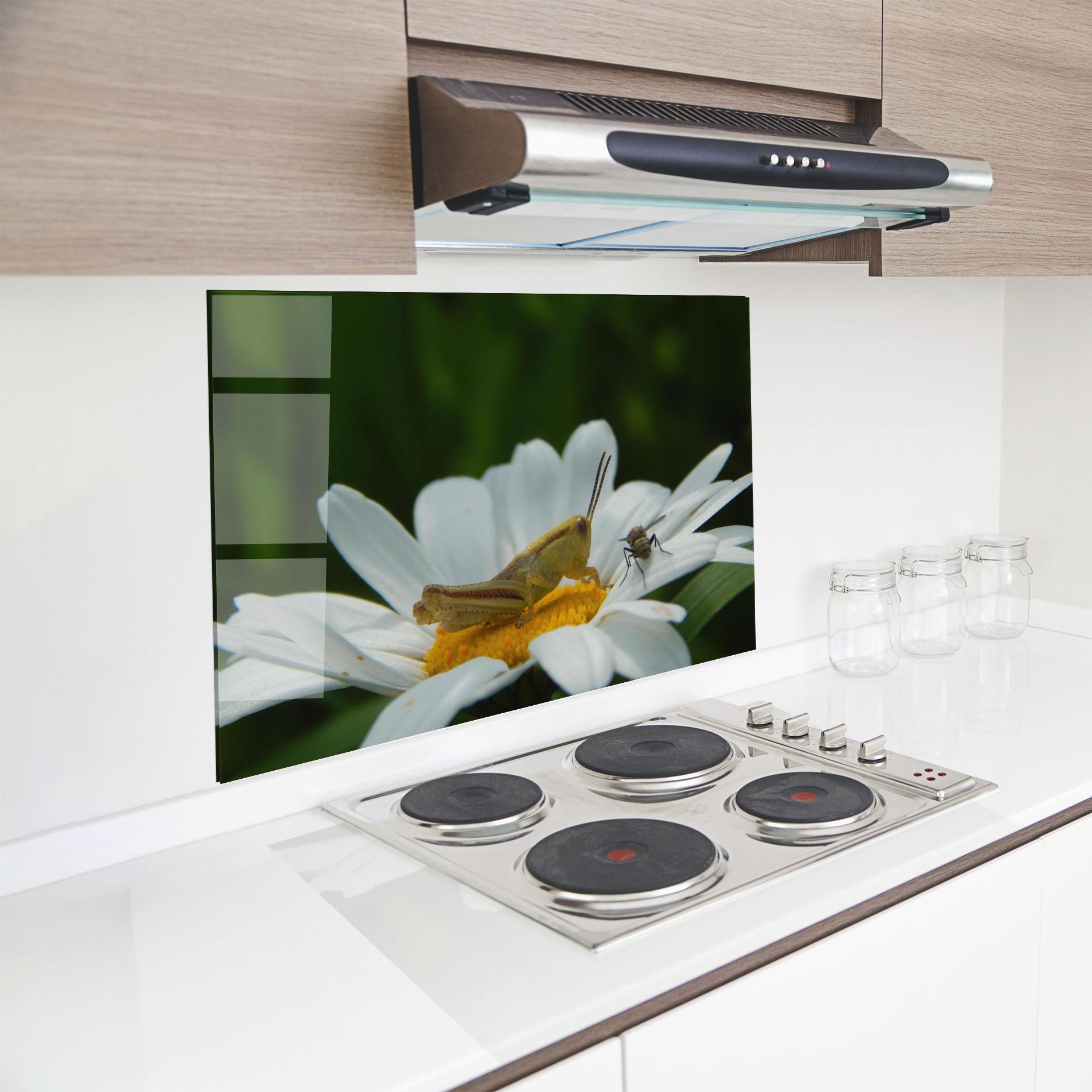 Panel Szklany do Kuchni Cricket On Daisy mockup 8