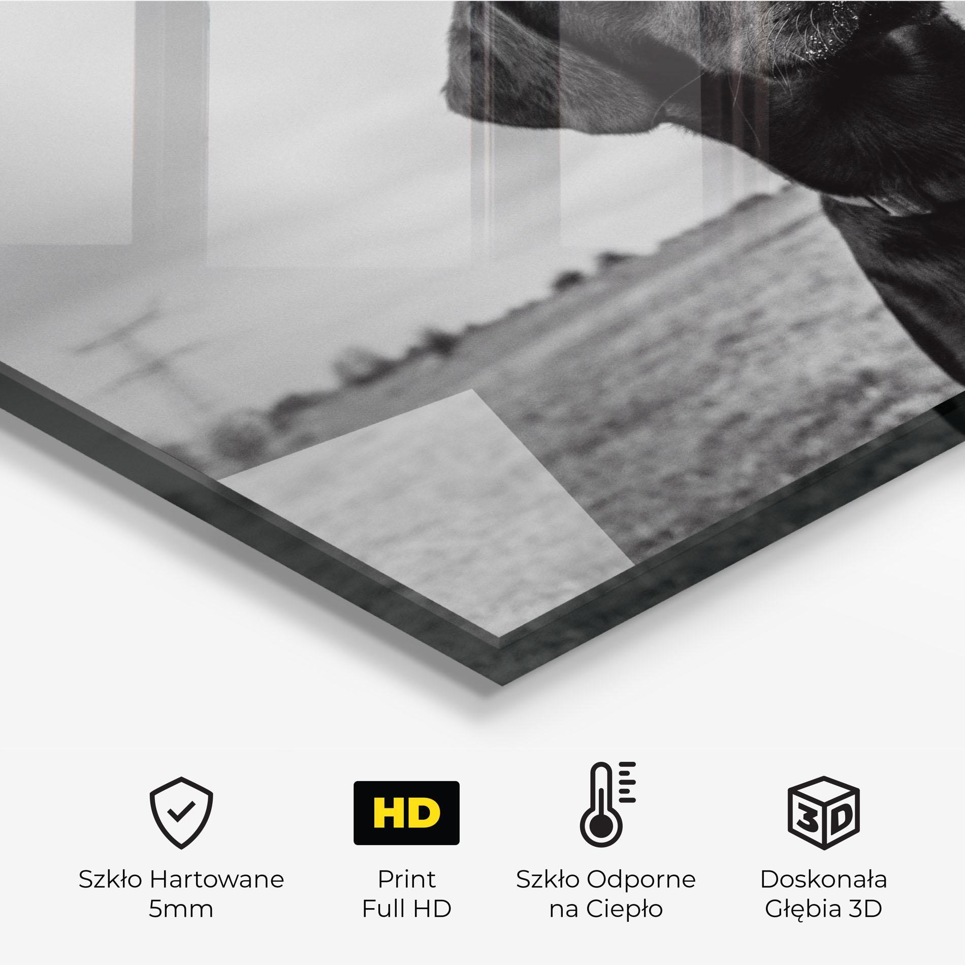 Panel Szklany do Kuchni Black Dog mockup 2