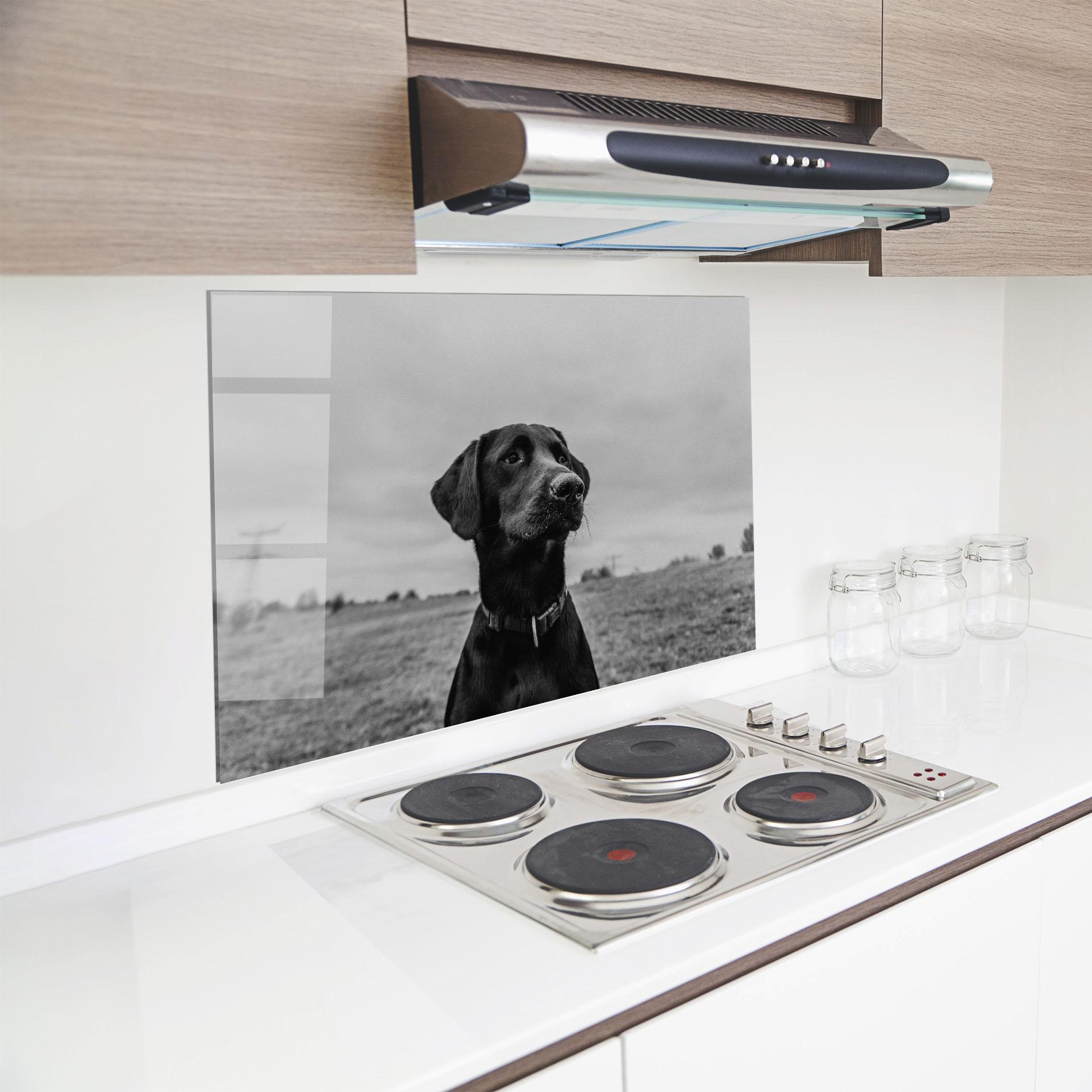 Panel Szklany do Kuchni Black Dog mockup 8