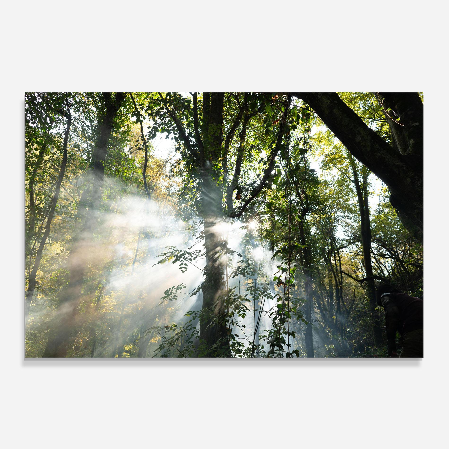 Panel Szklany do Kuchni Foggy Light Forest mockup 0