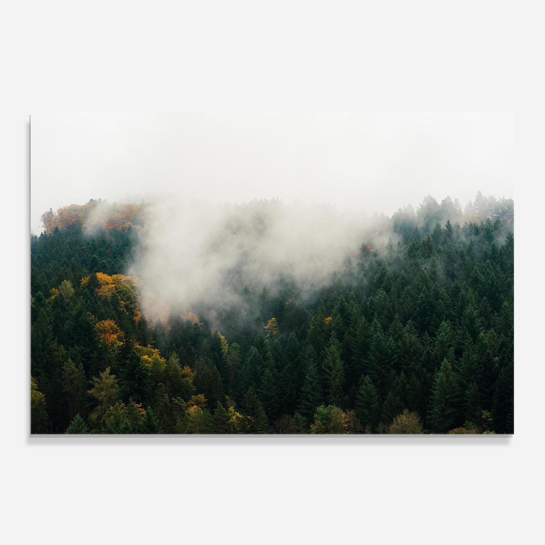 Panel Szklany do Kuchni Foggy Tree Forest mockup 0