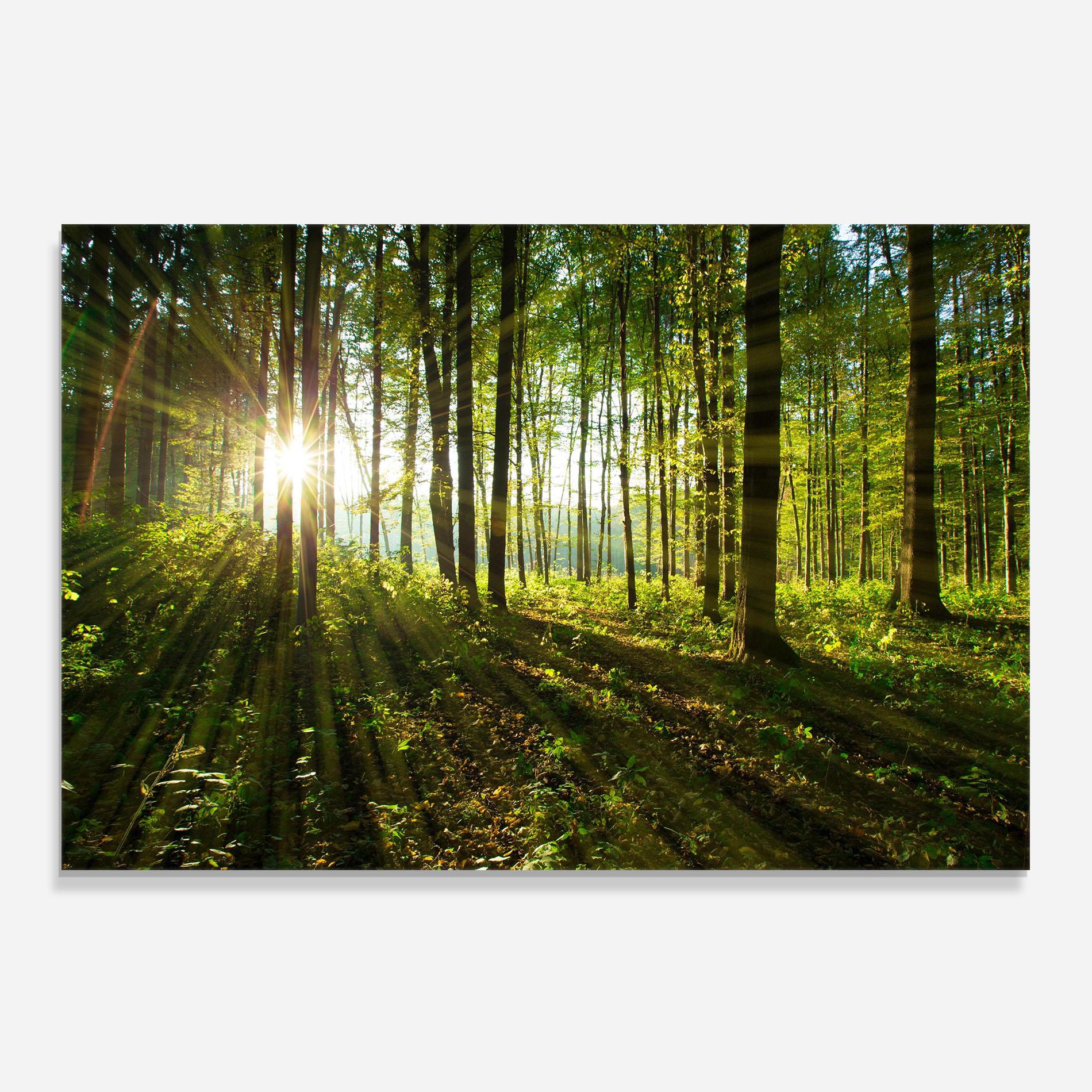 Panel Szklany do Kuchni Green Light Forest mockup 0