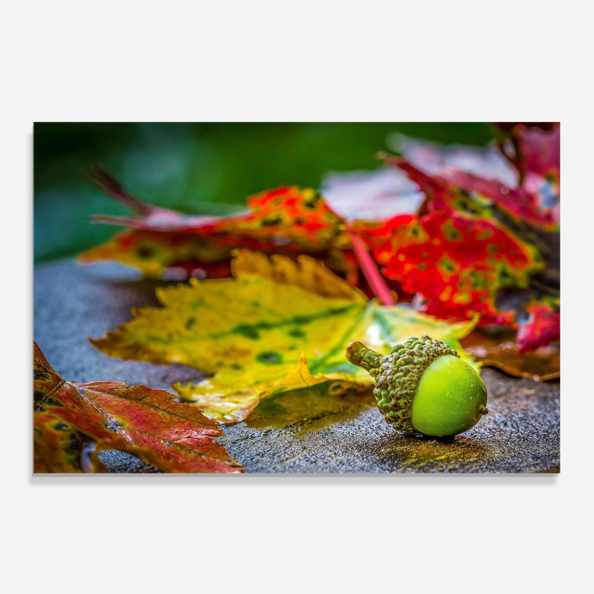 Panel Szklany do Kuchni Leaf Color Forest mockup 0