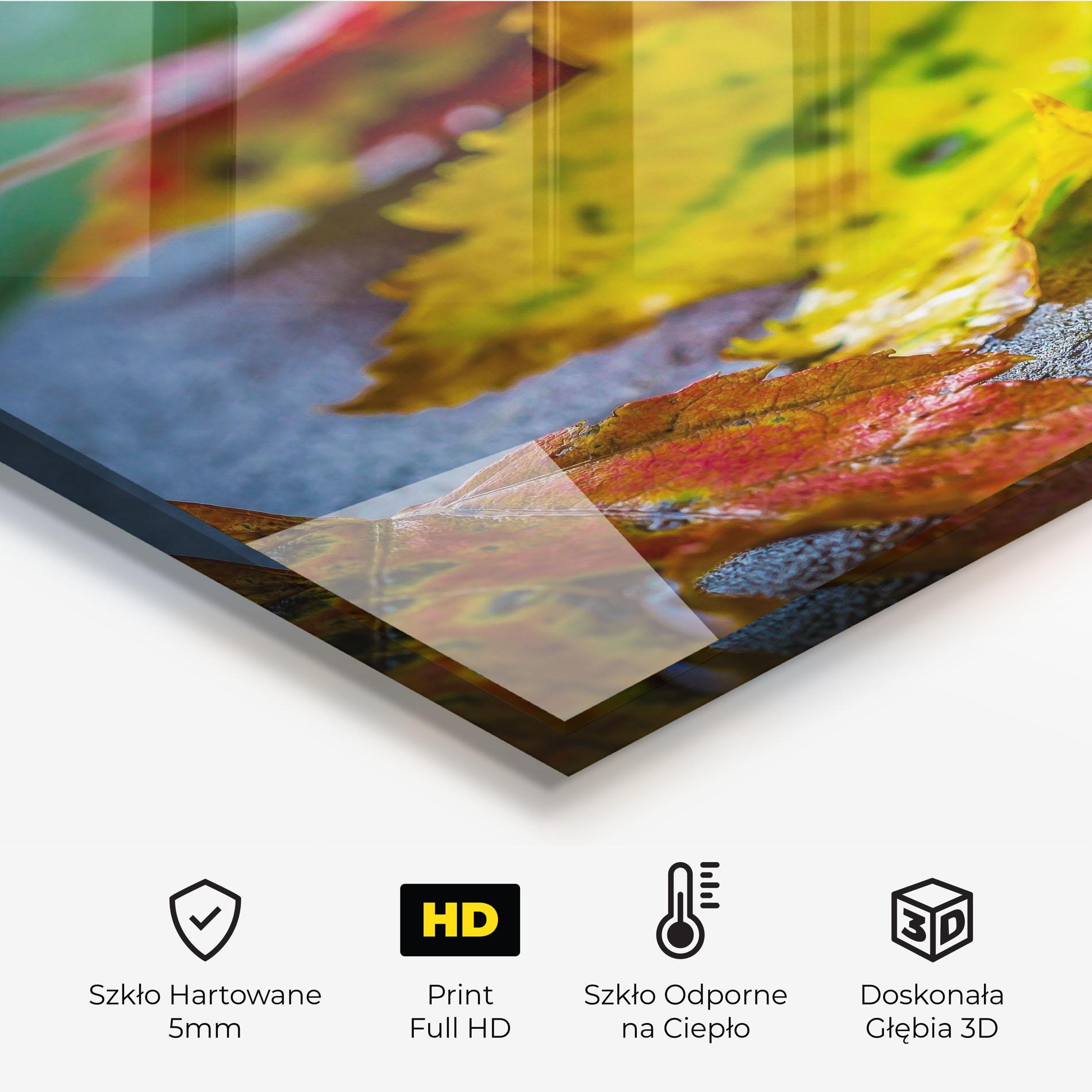 Panel Szklany do Kuchni Leaf Color Forest mockup 2