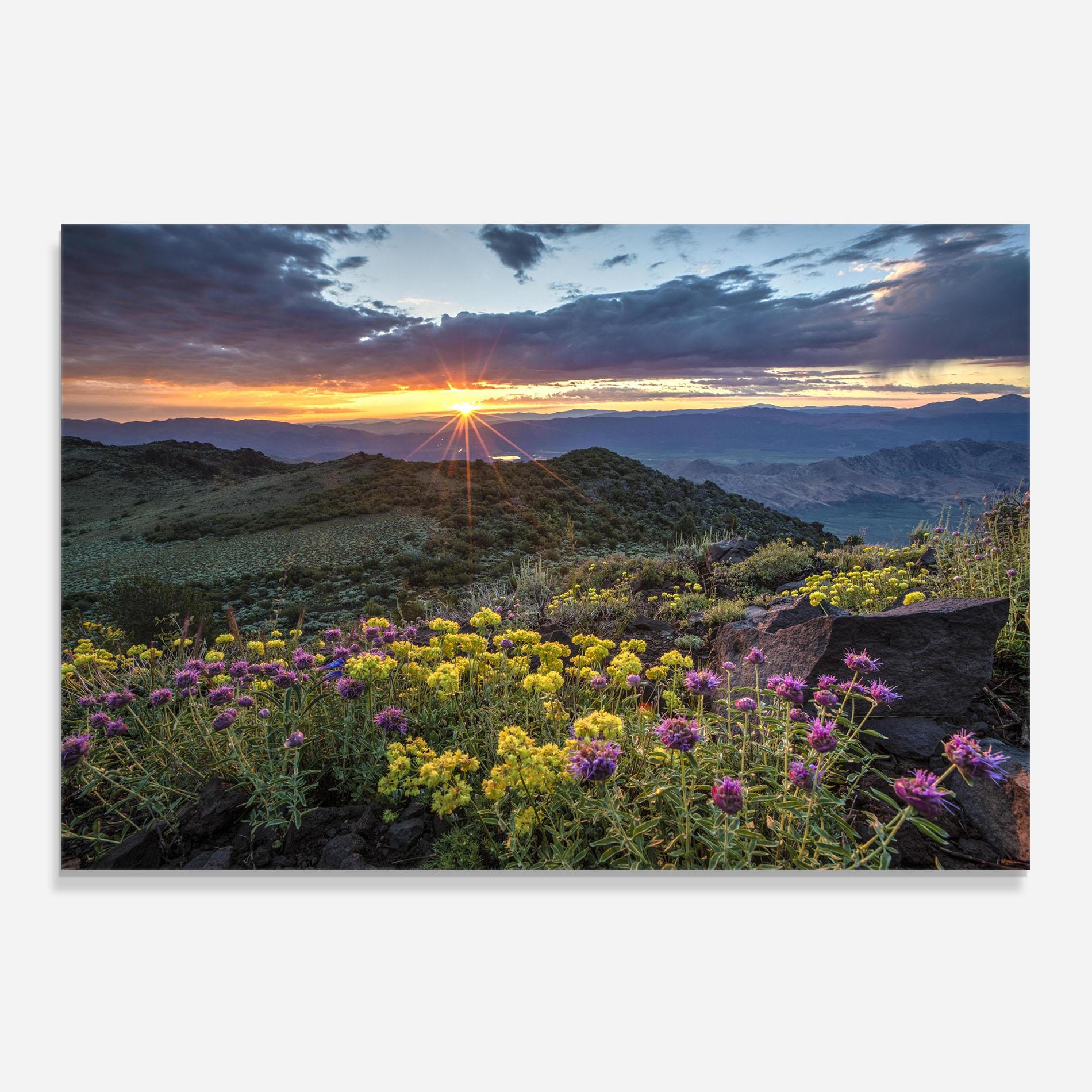 Panel Szklany do Kuchni Beautiful Spring View mockup 0