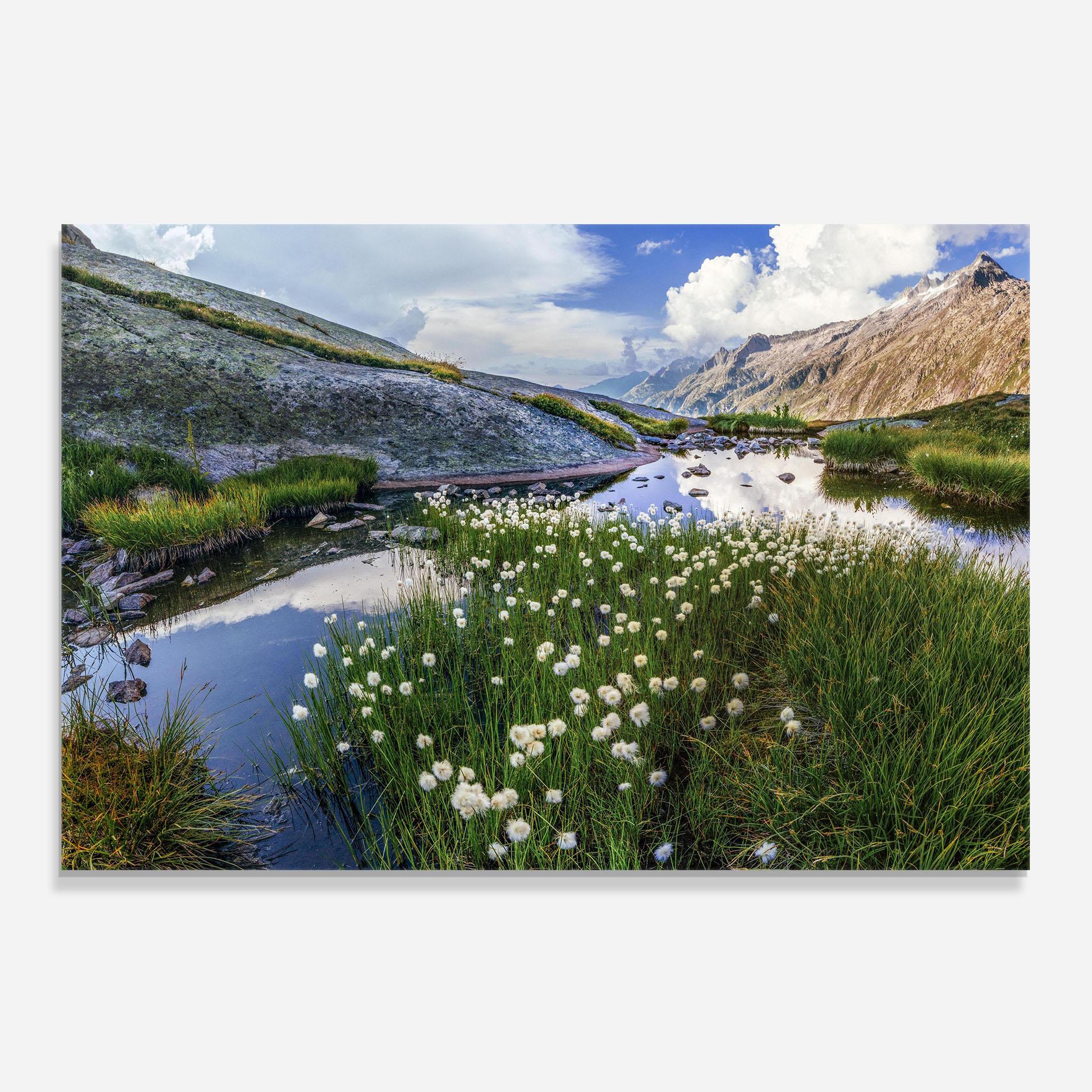 Panel Szklany do Kuchni Lake Spring View mockup 0