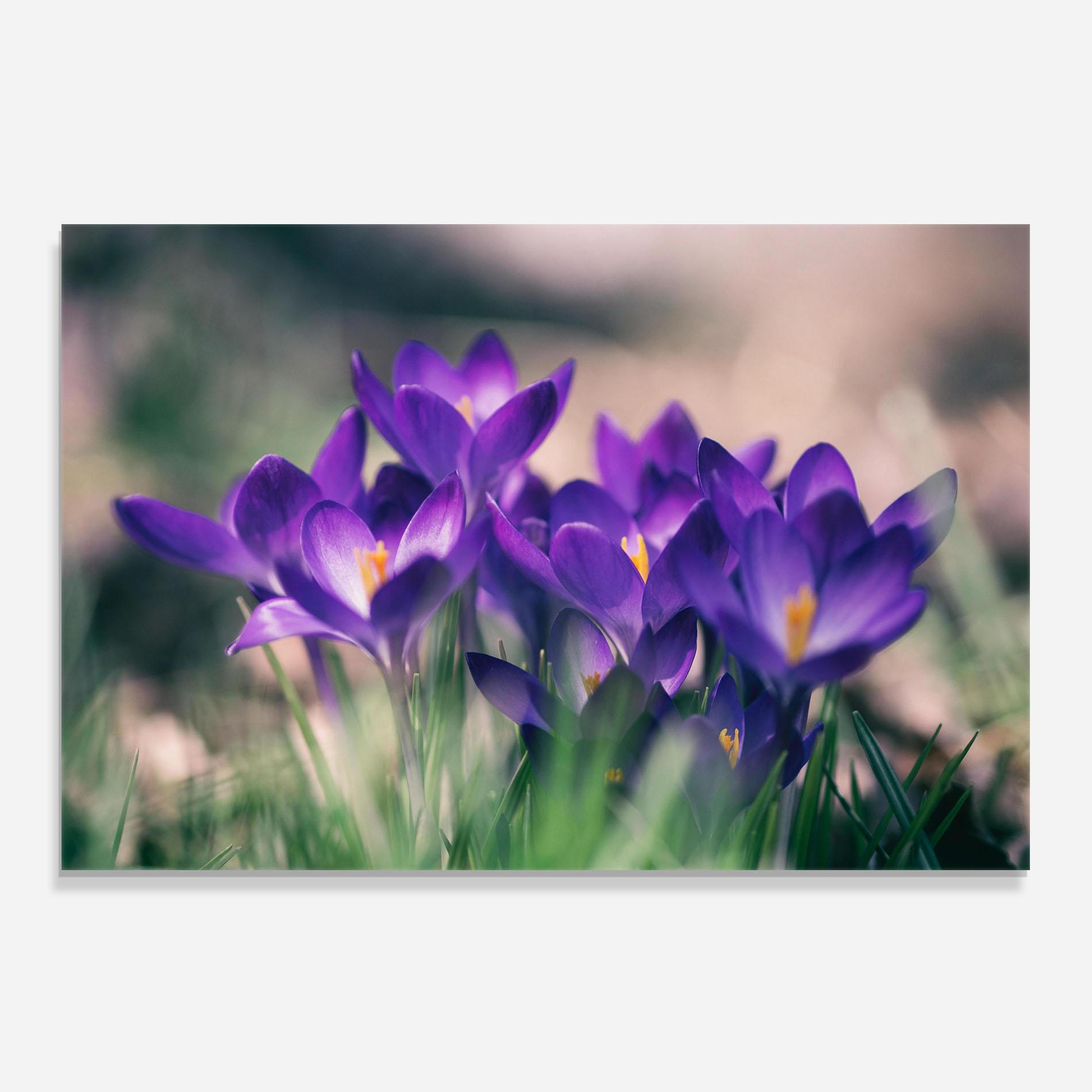Panel Szklany do Kuchni Pretty Spring Flower mockup 0