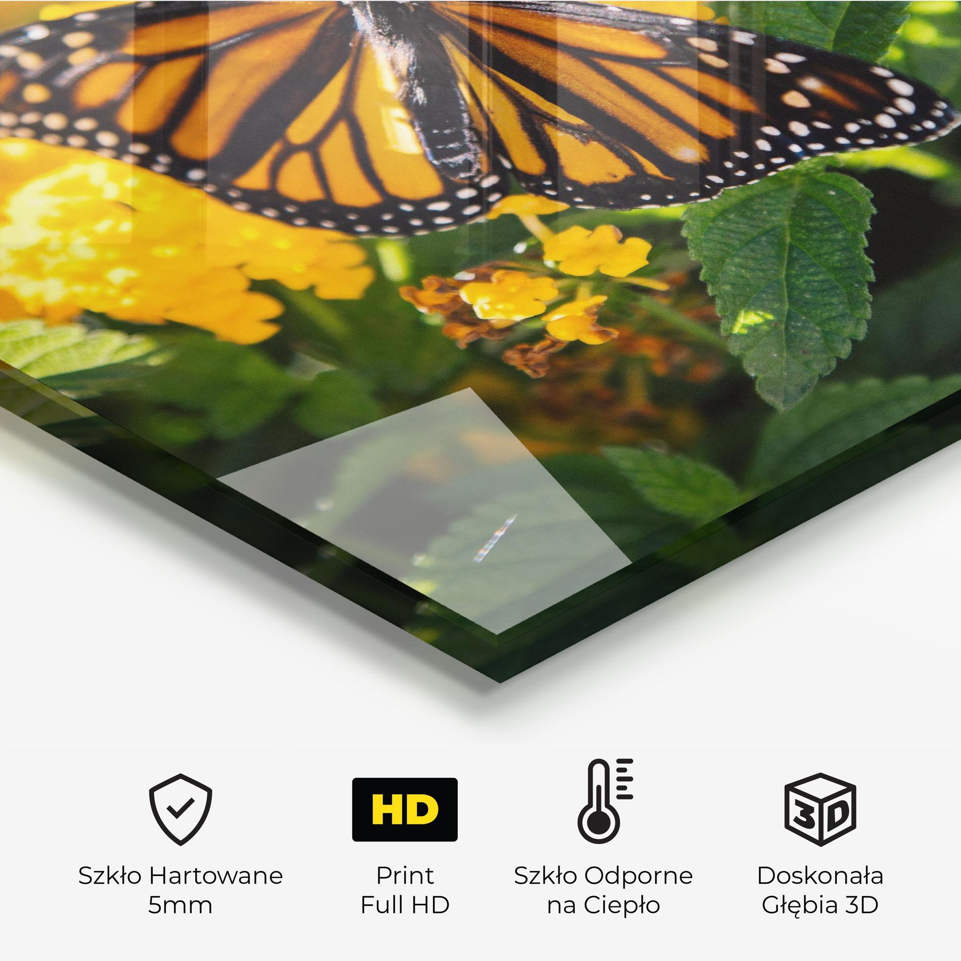 Panel Szklany do Kuchni Orange Spring Butterfly mockup 2