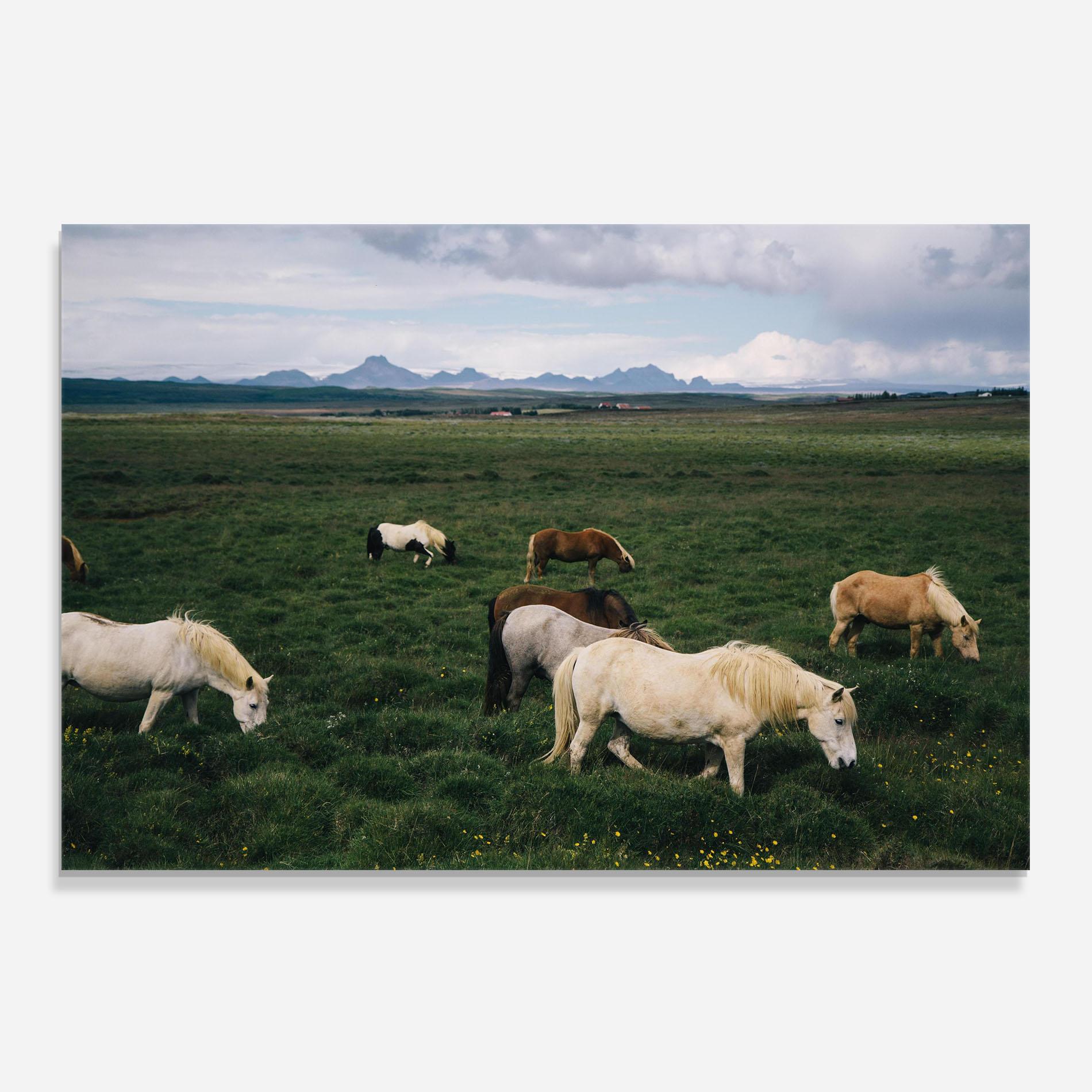 Panel Szklany do Kuchni Countryside Horses mockup 0