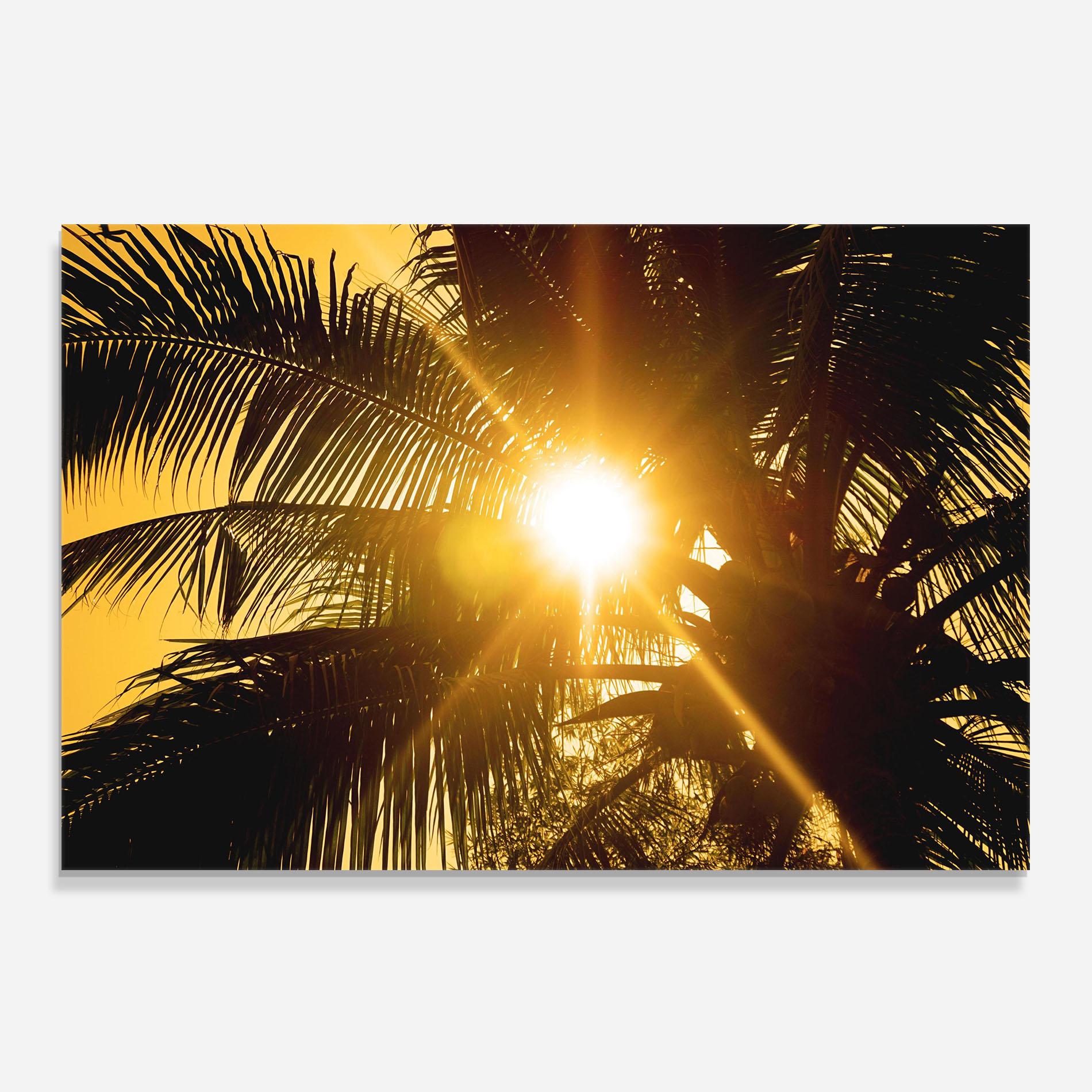 Panel Szklany do Kuchni Palm Trees Sun mockup 0