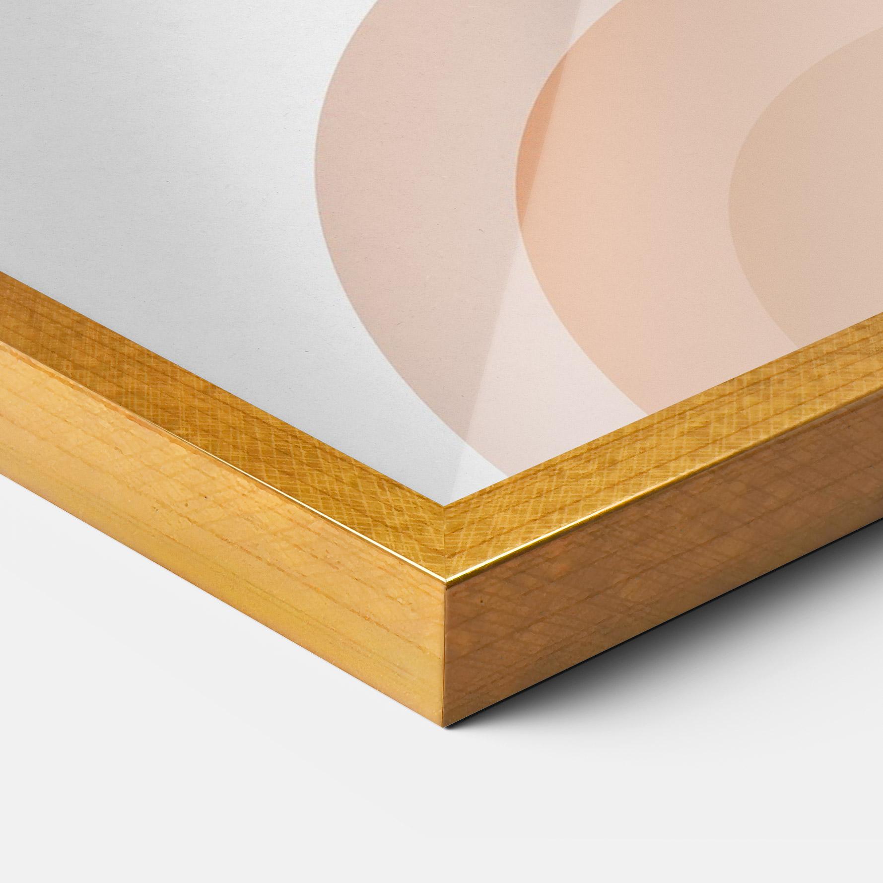 Plakat w Ramie Plant Orange Circle mockup 3