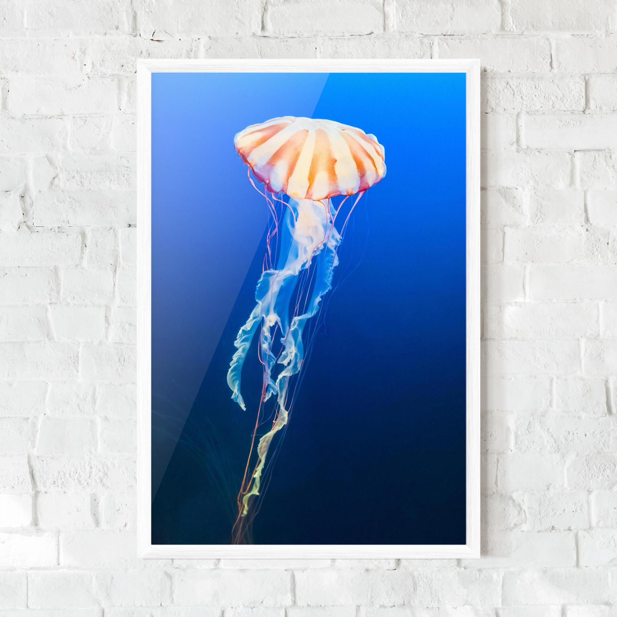Plakat w Ramie Cream Jellyfish mockup 0