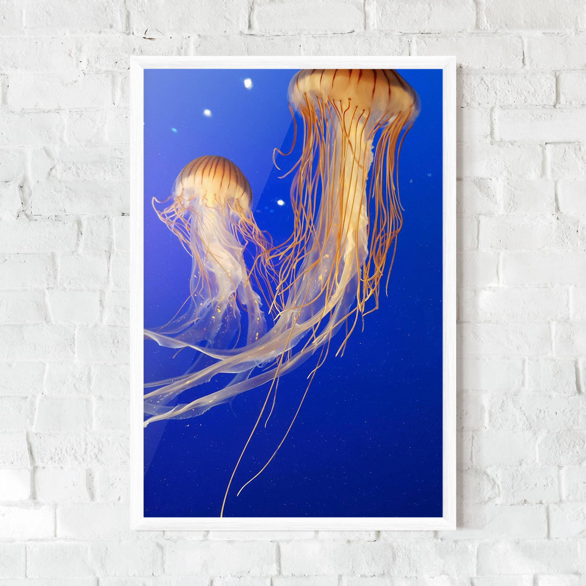 Plakat w Ramie Light Orange Jellyfish mockup 0