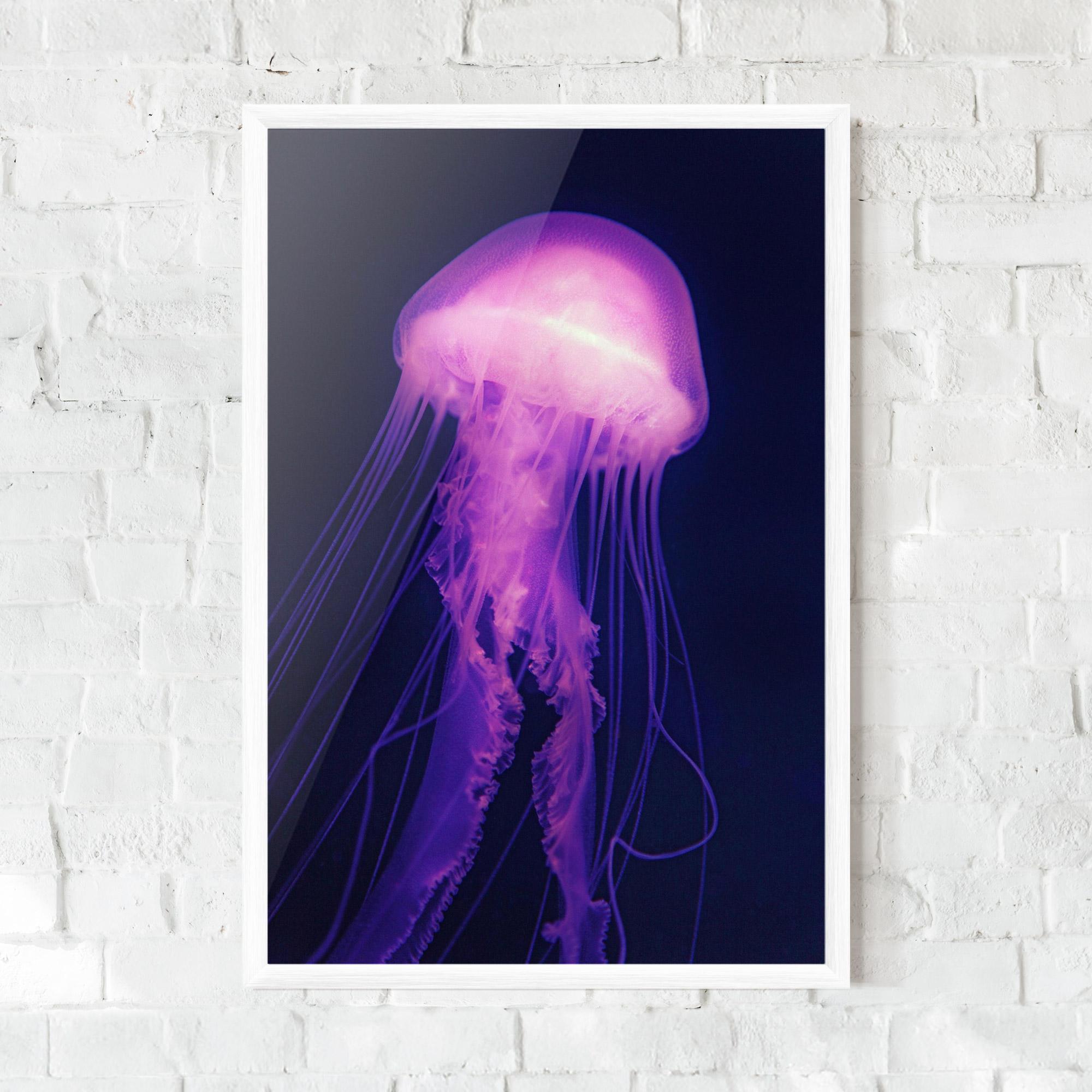 Plakat w Ramie Light Purple Jellyfish mockup 0