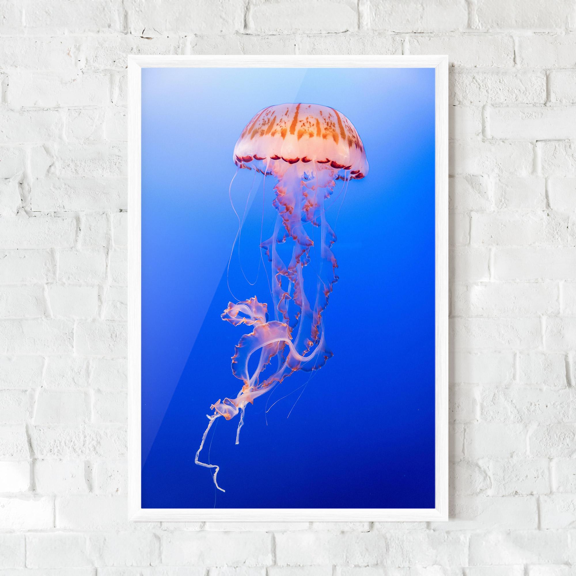 Plakat w Ramie Pretty White Jellyfish mockup 0