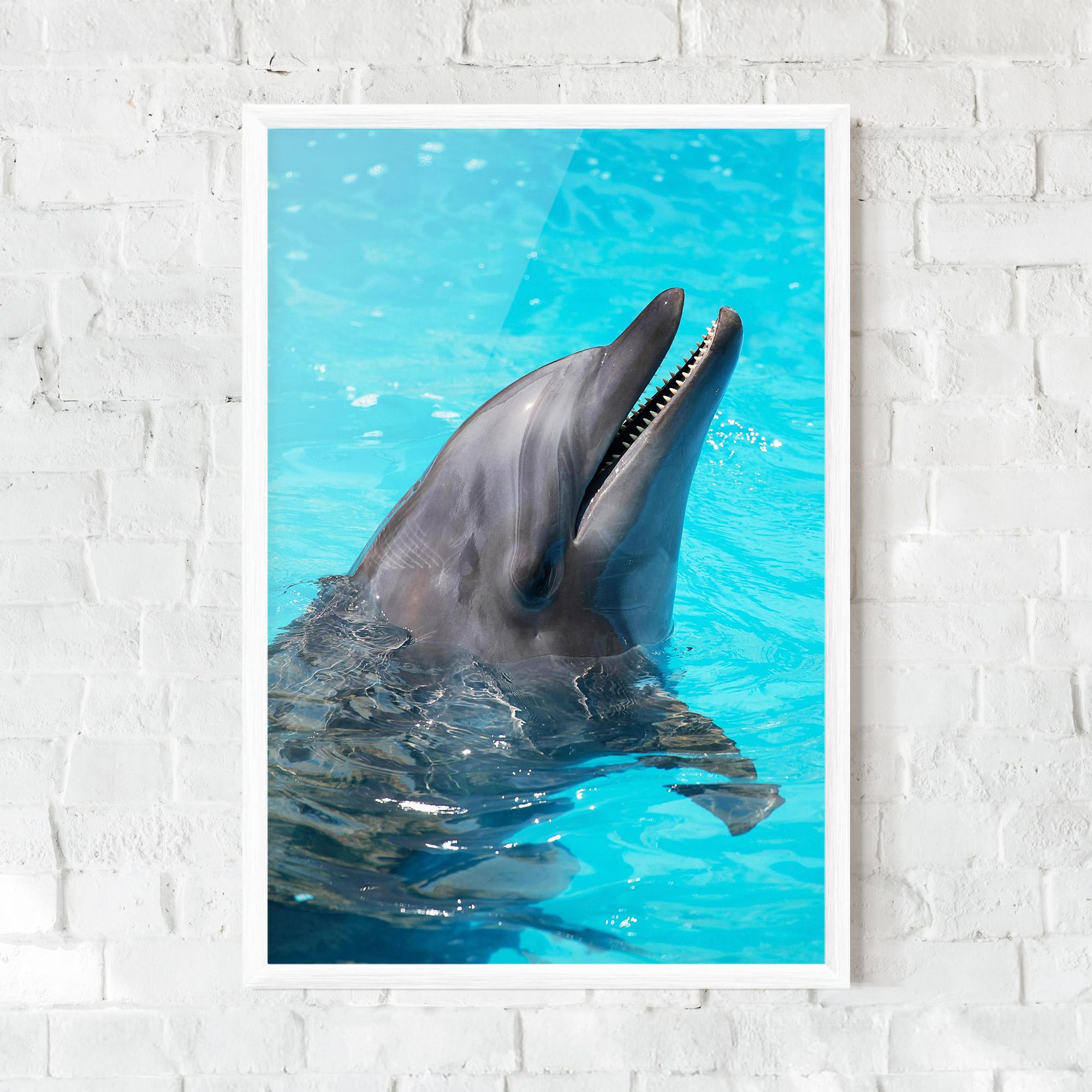 Plakat w Ramie Trained Dolphin mockup 0
