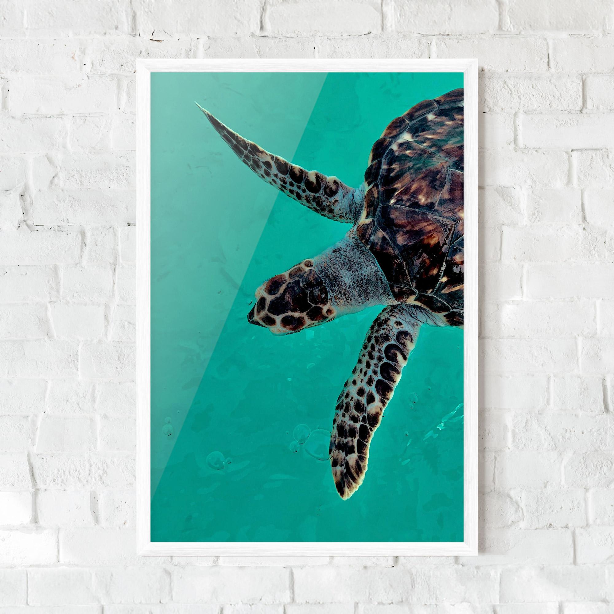 Plakat w Ramie Turtle Sweeming mockup 0
