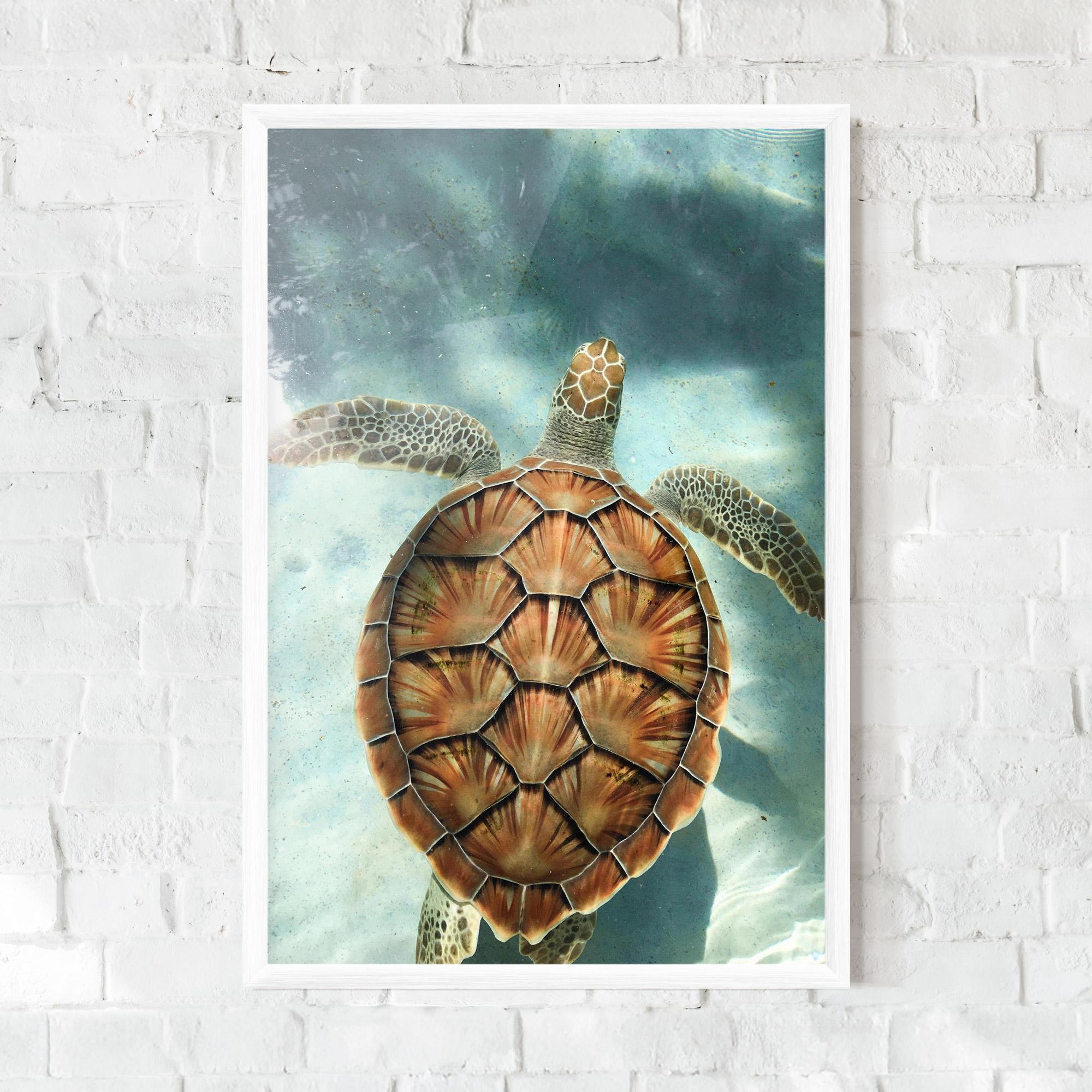 Plakat w Ramie Water Tortoise mockup 0