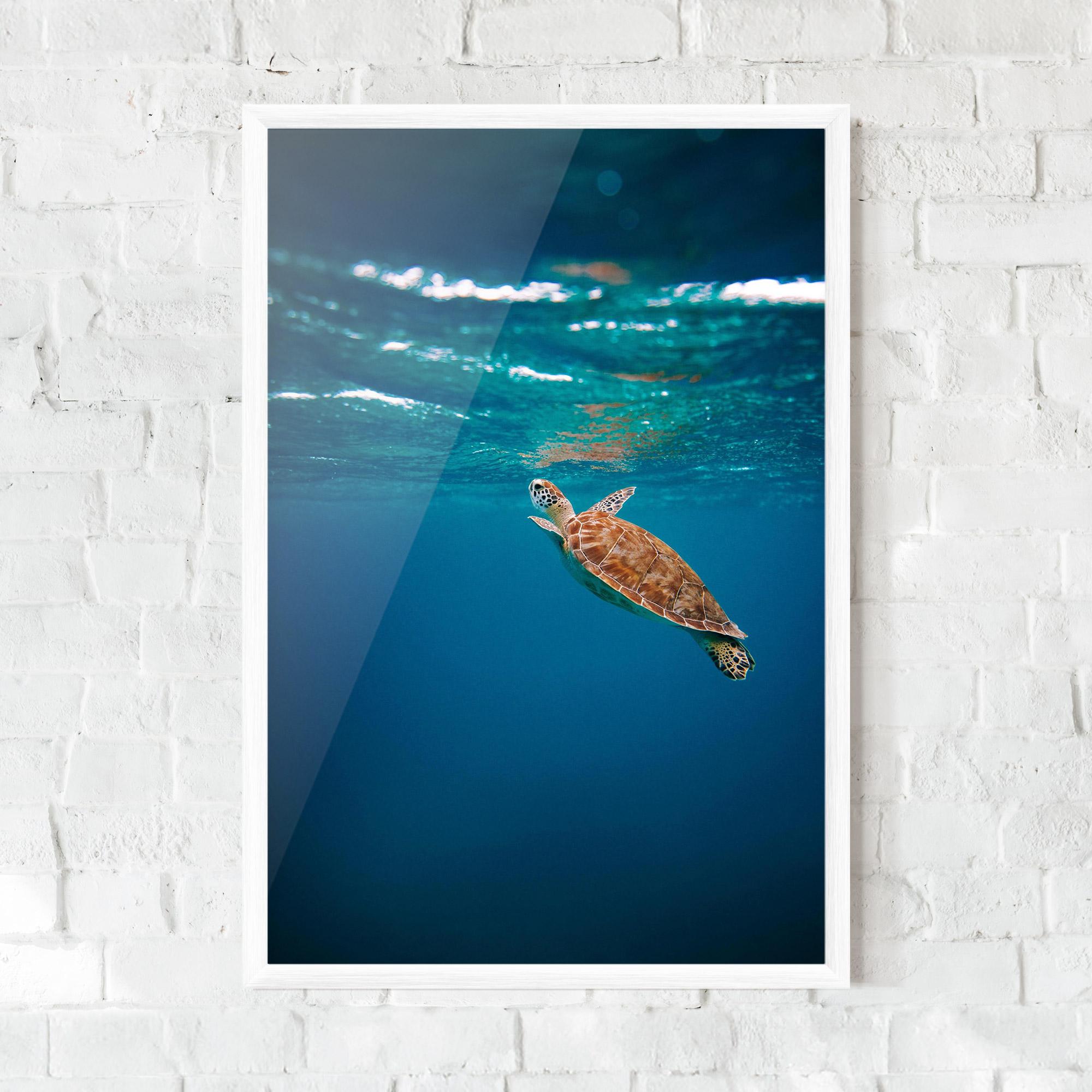 Plakat w Ramie Water Turtle mockup 0