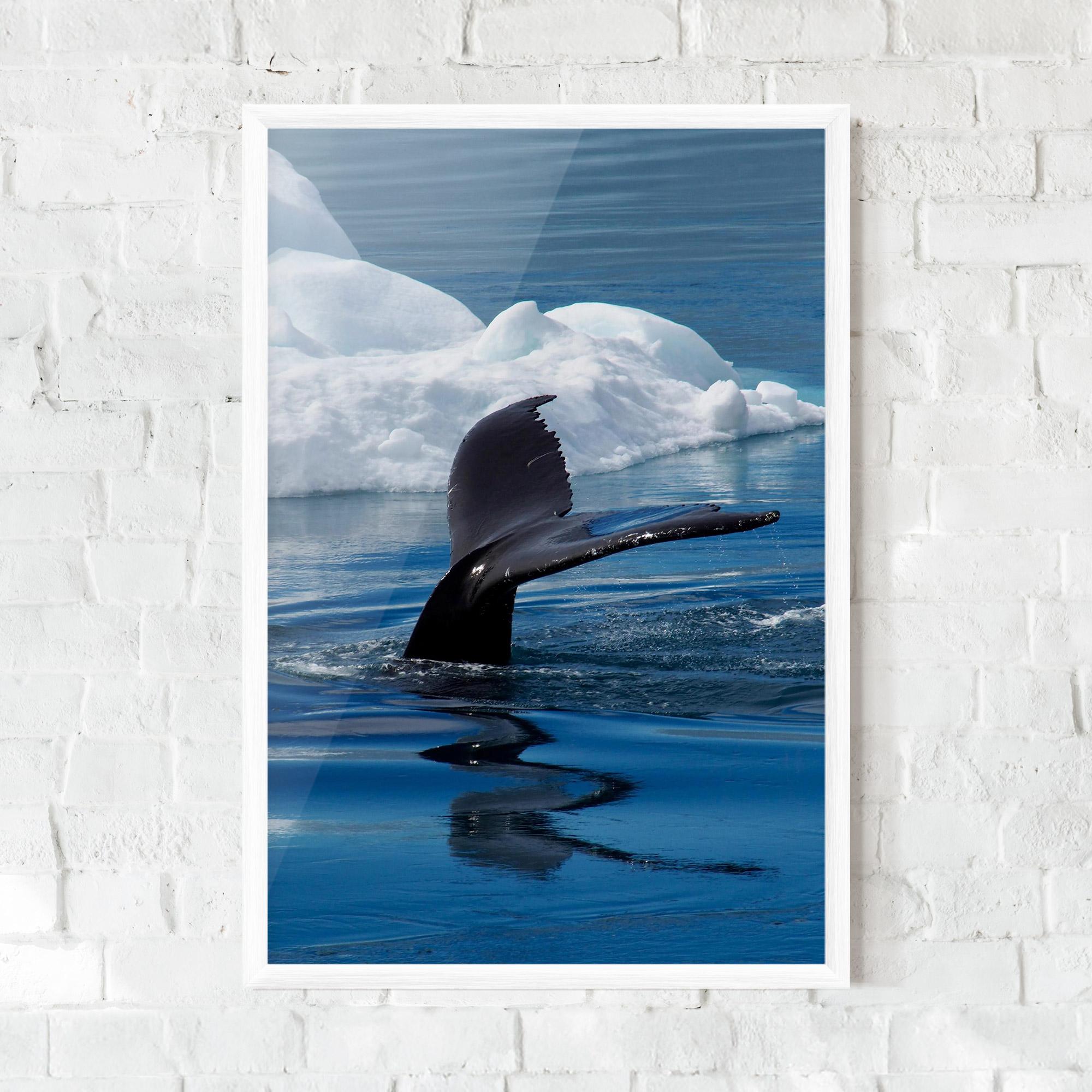 Plakat w Ramie Whale Tail mockup 0