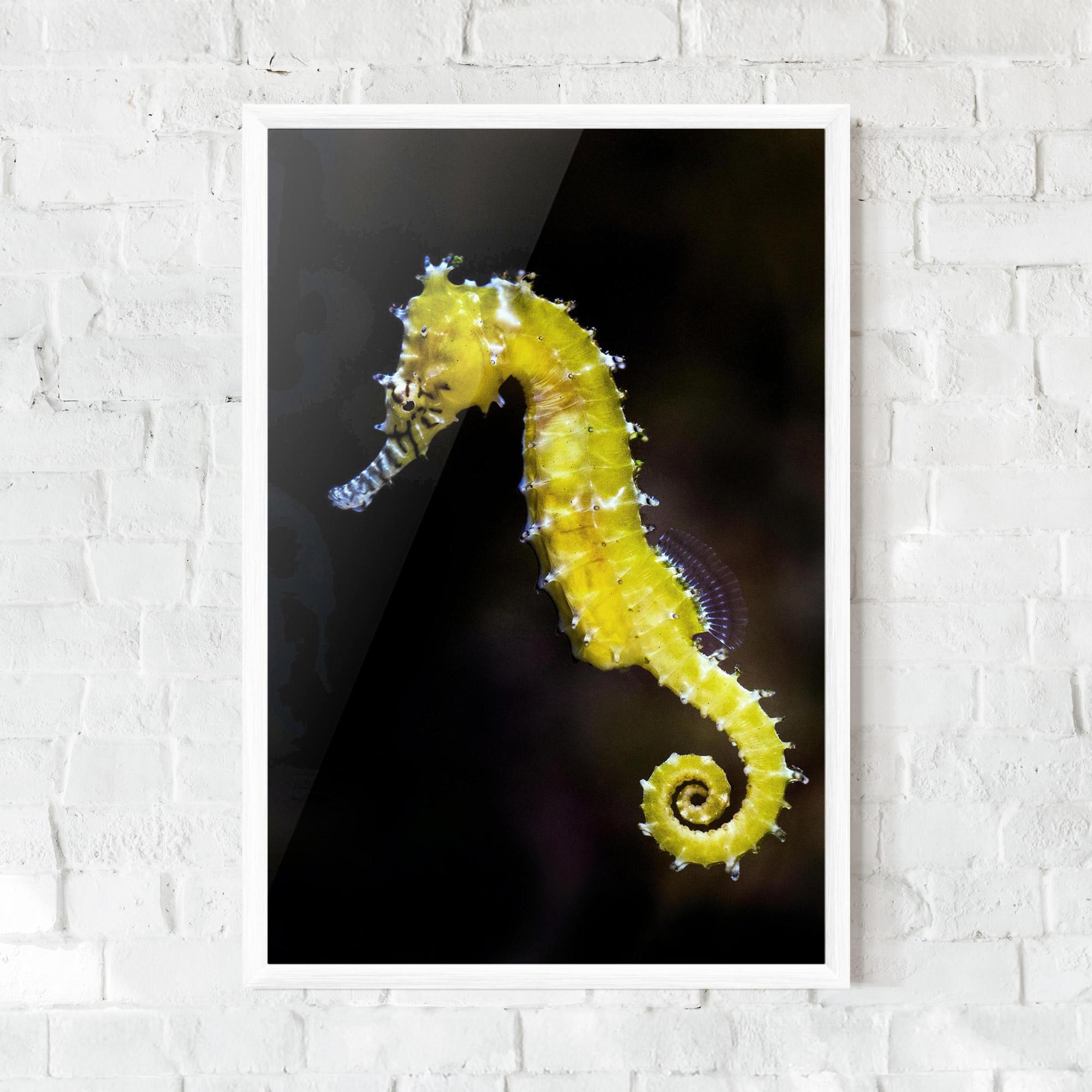 Plakat w Ramie Yellow Seahorse mockup 0