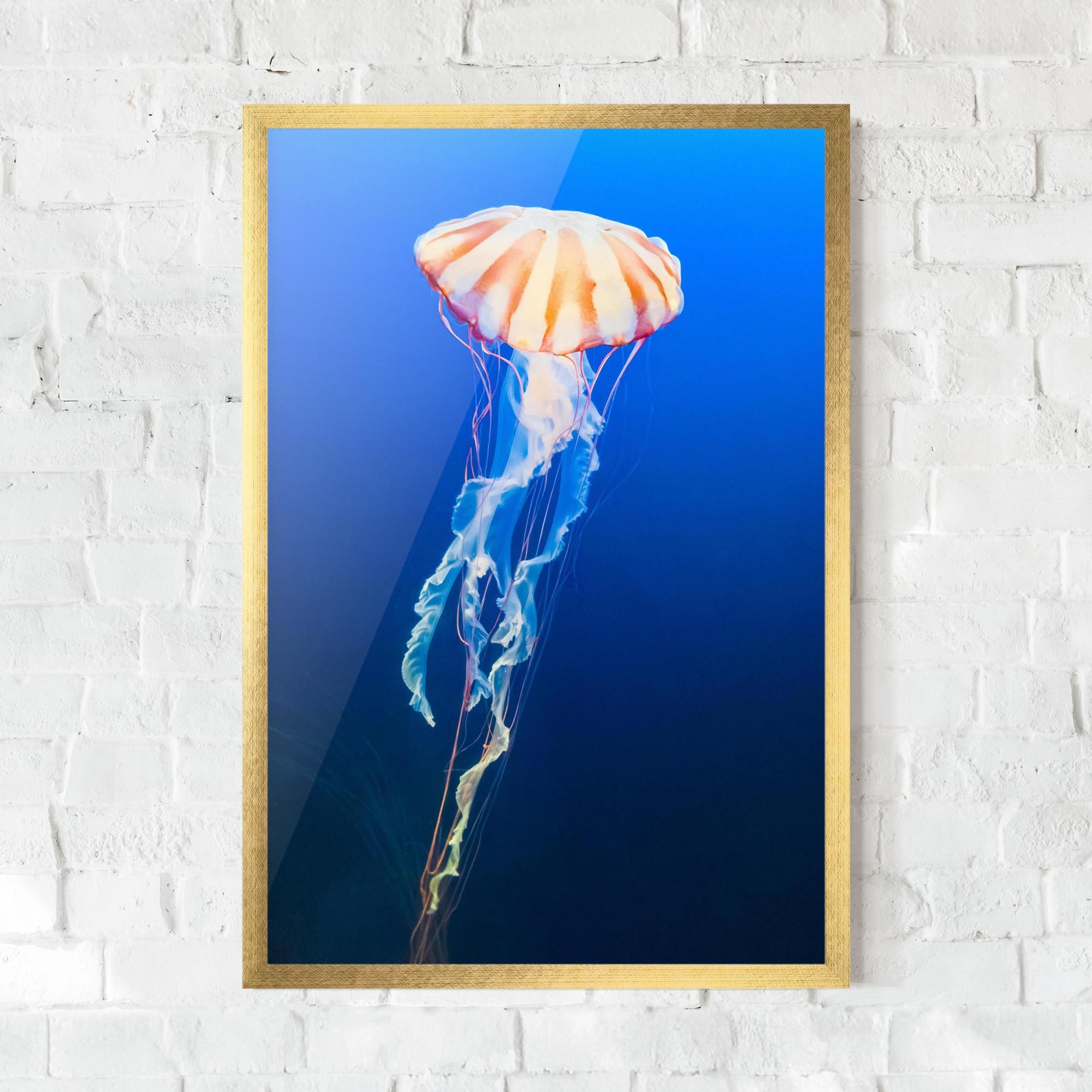 Plakat w Ramie Cream Jellyfish mockup 0