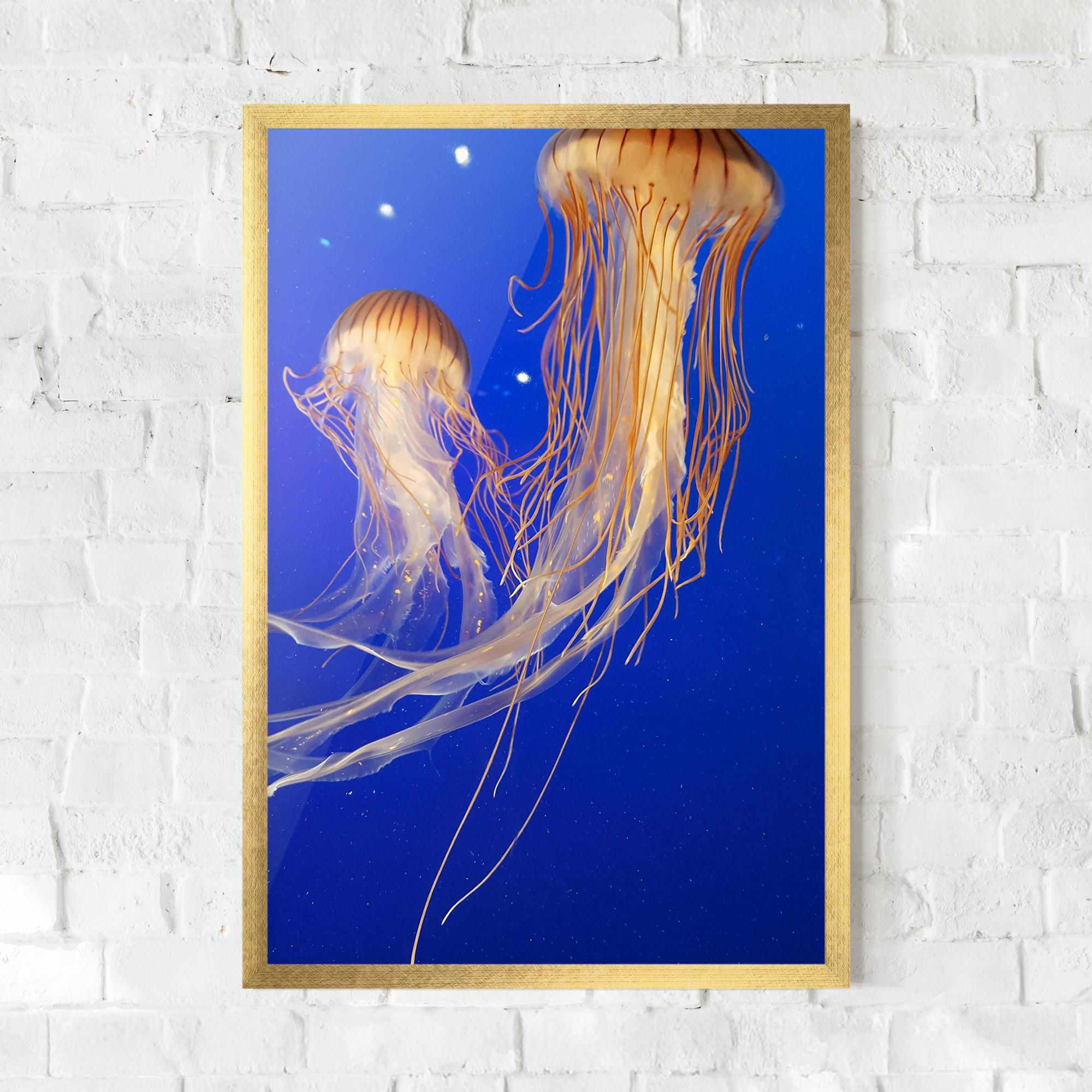 Plakat w Ramie Light Orange Jellyfish mockup 0