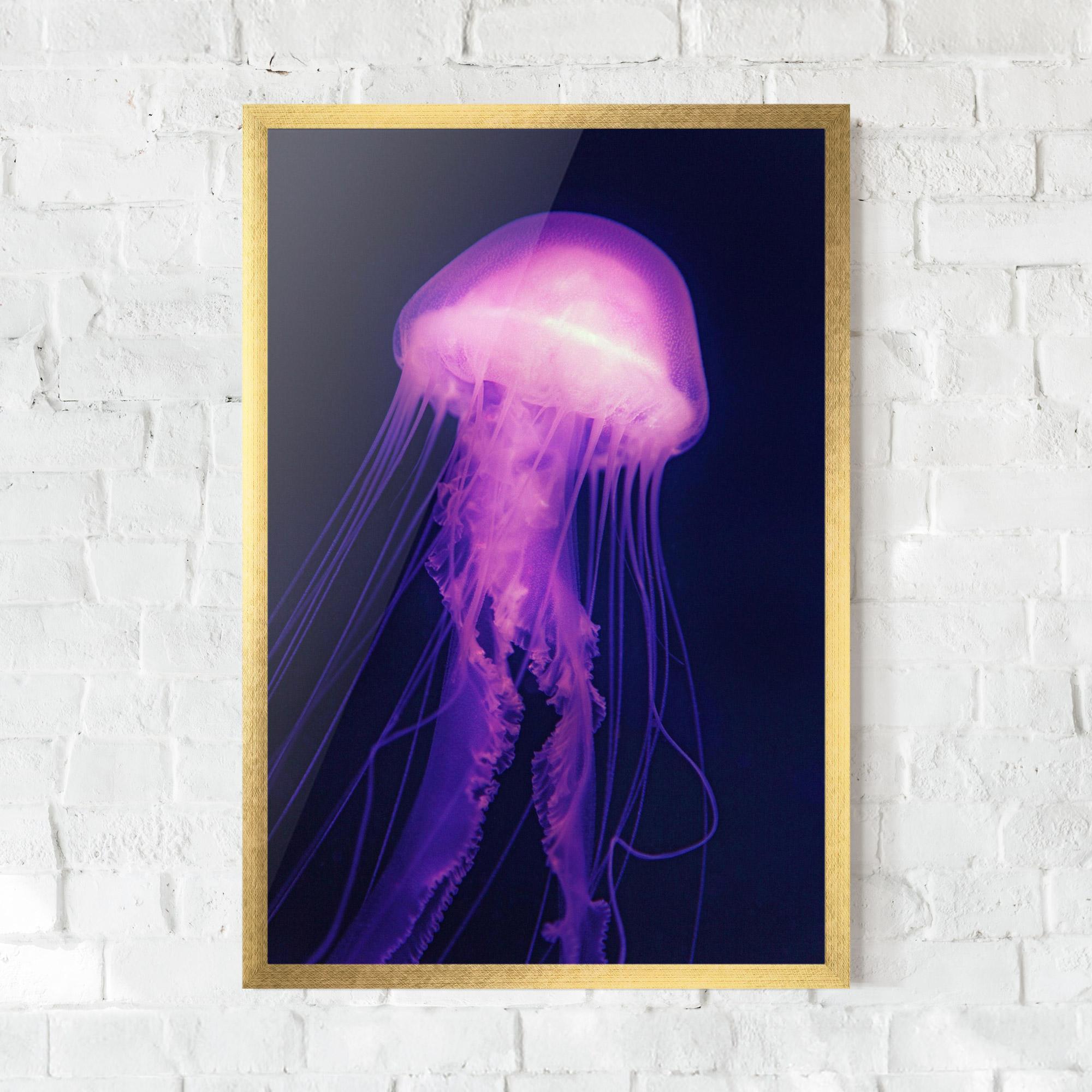 Plakat w Ramie Light Purple Jellyfish mockup 0