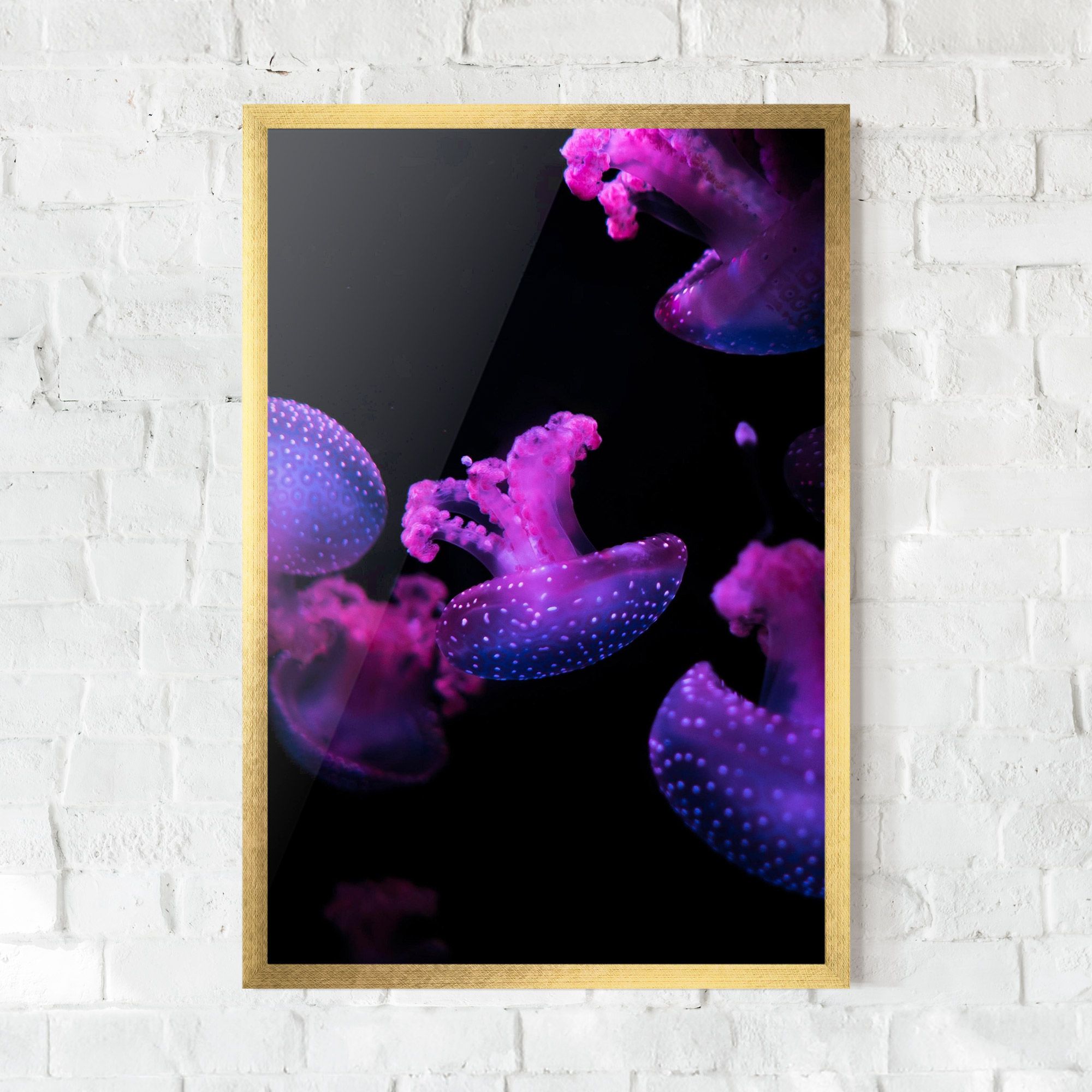 Little Purple Jellyfish mockup 0