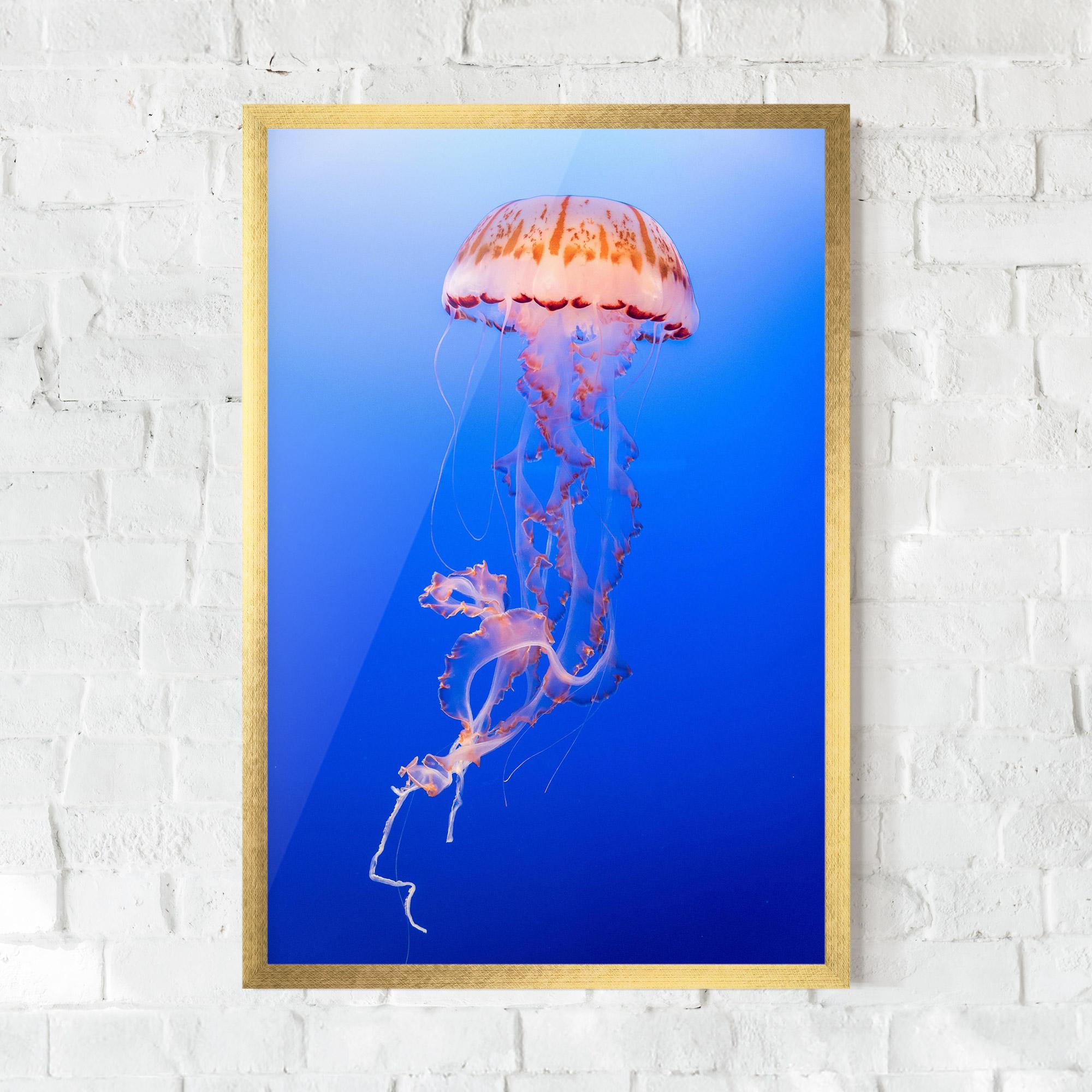 Plakat w Ramie Pretty White Jellyfish mockup 0